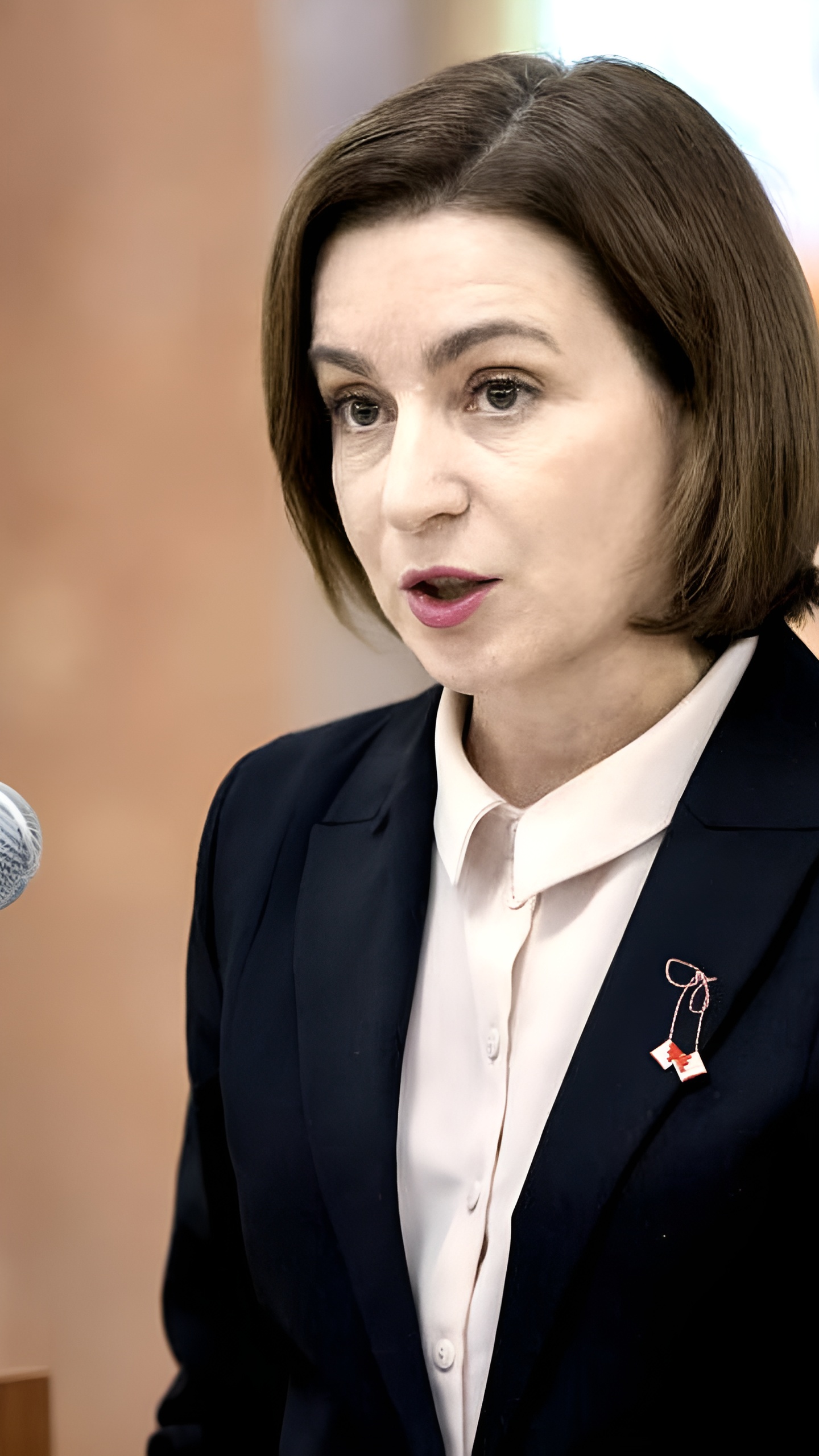 Президент Молдавии инициировала переговоры о вступлении в ЕС