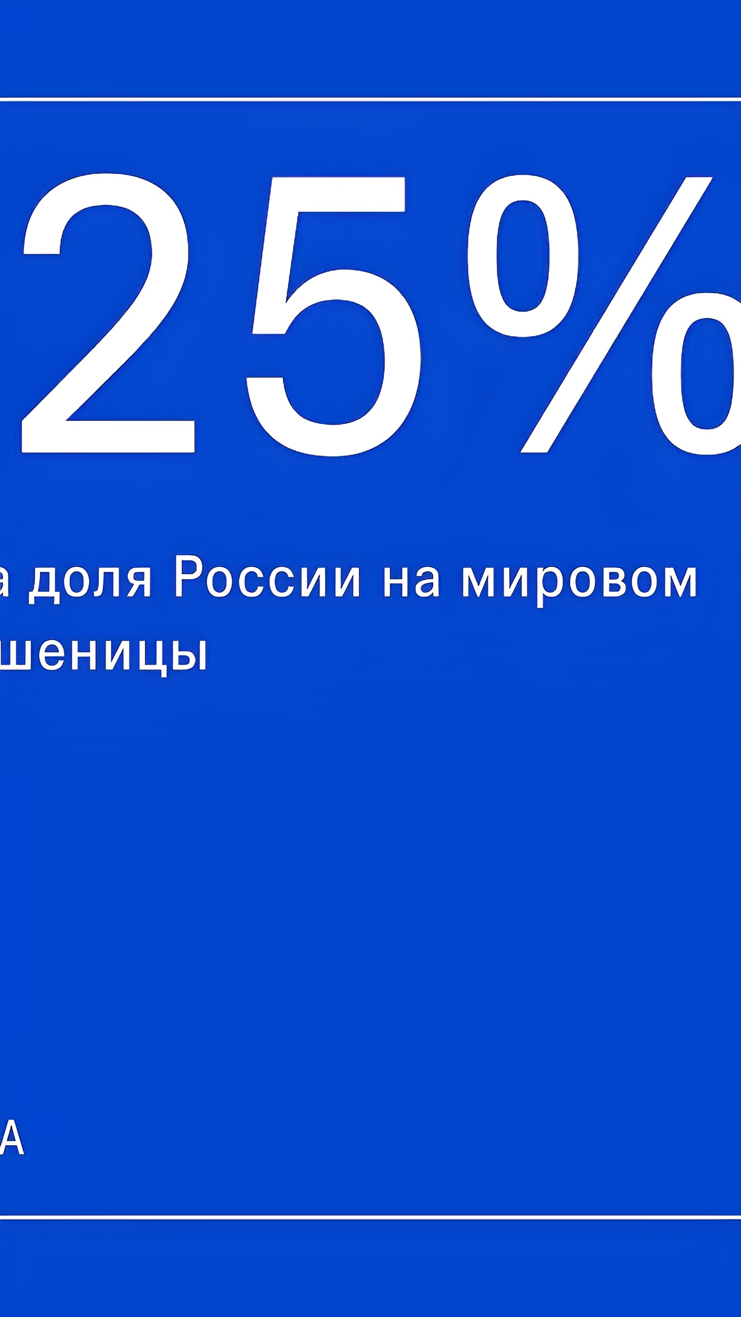 Экспорт зерна и чипсов: новые рынки и лидеры