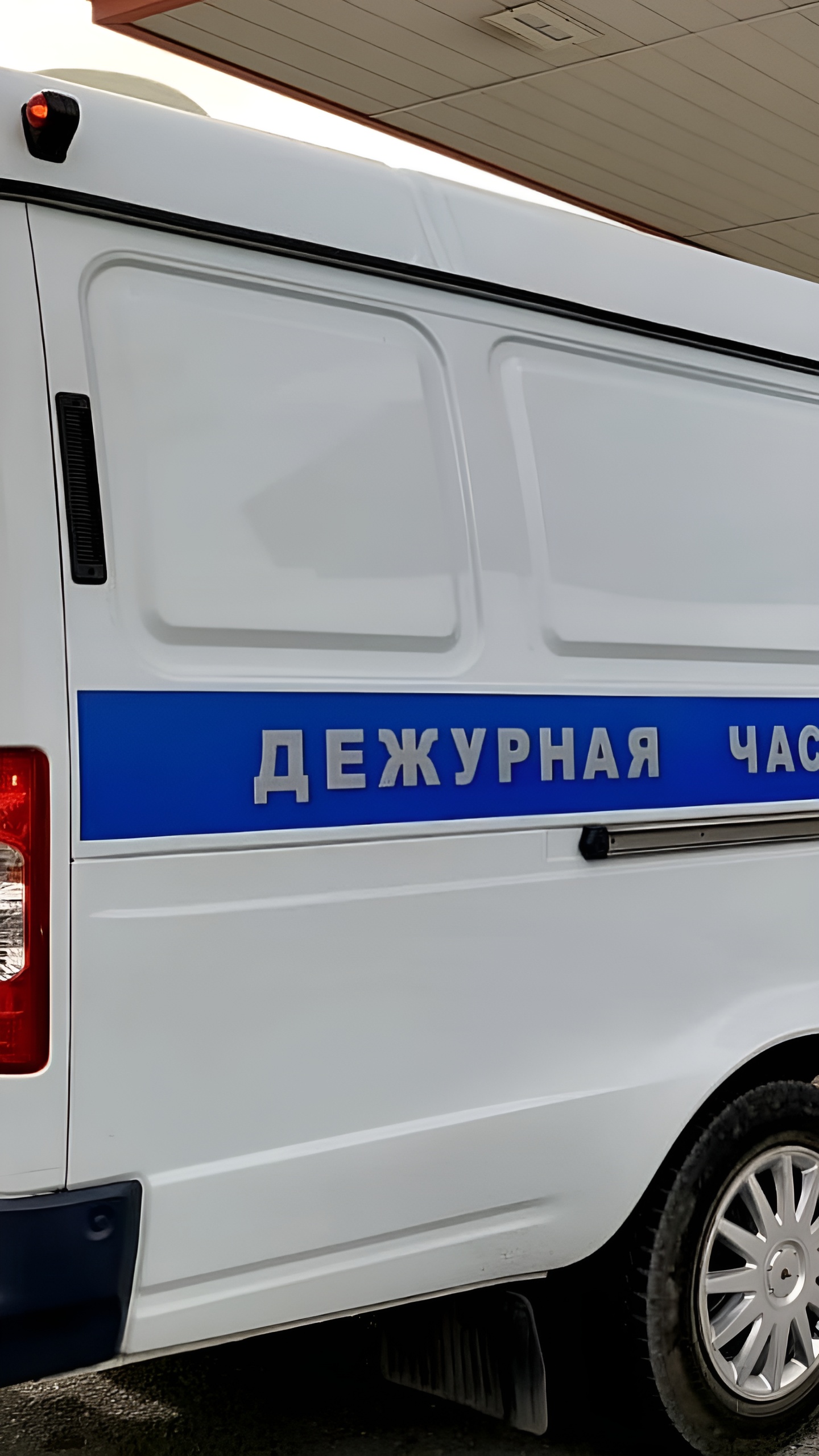 Мошенничество в Норильске и Магадане: выманили более 150 млн рублей и почти 30 тысяч рублей