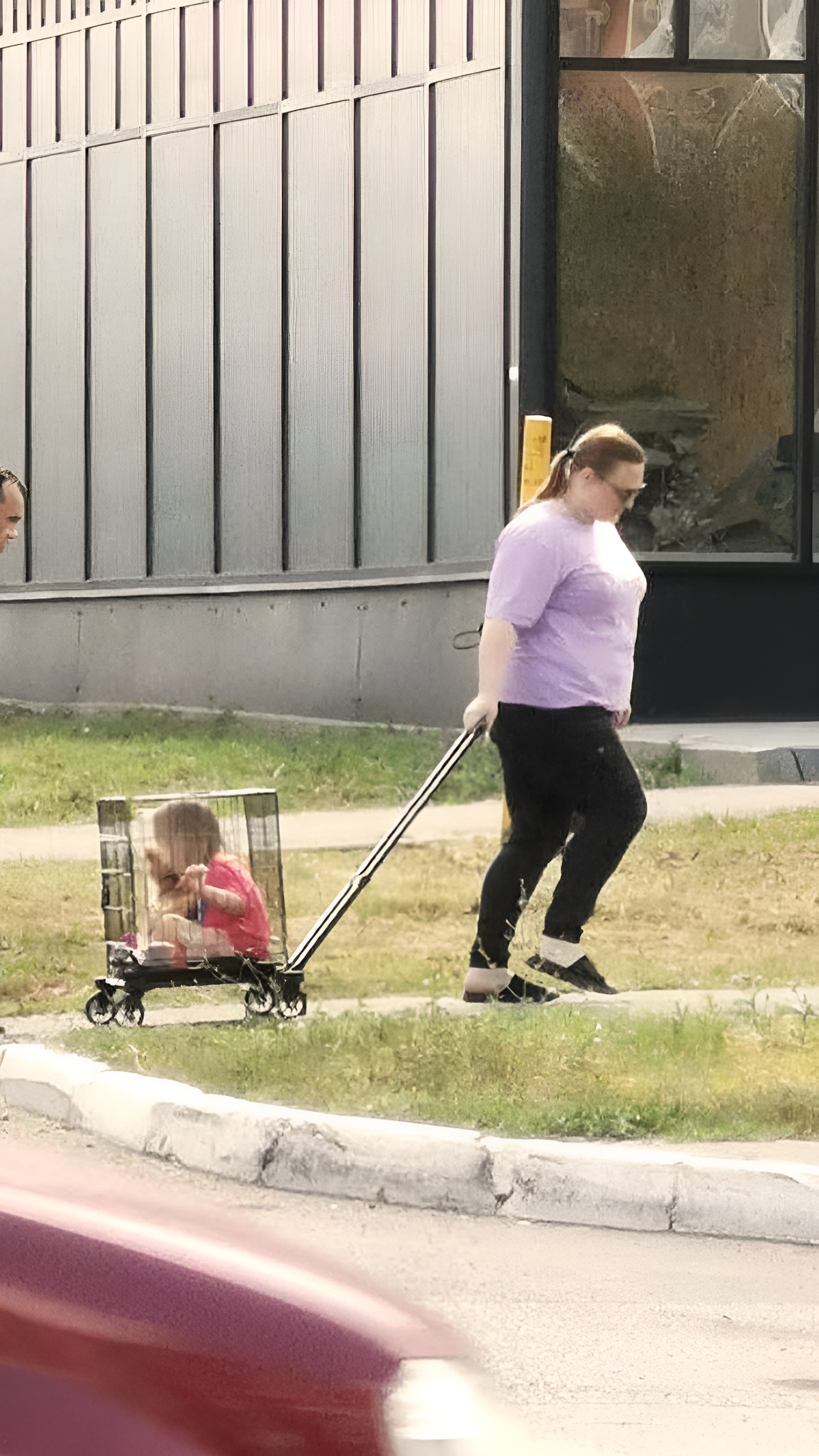 Родители выгуливали ребенка в клетке на колесиках