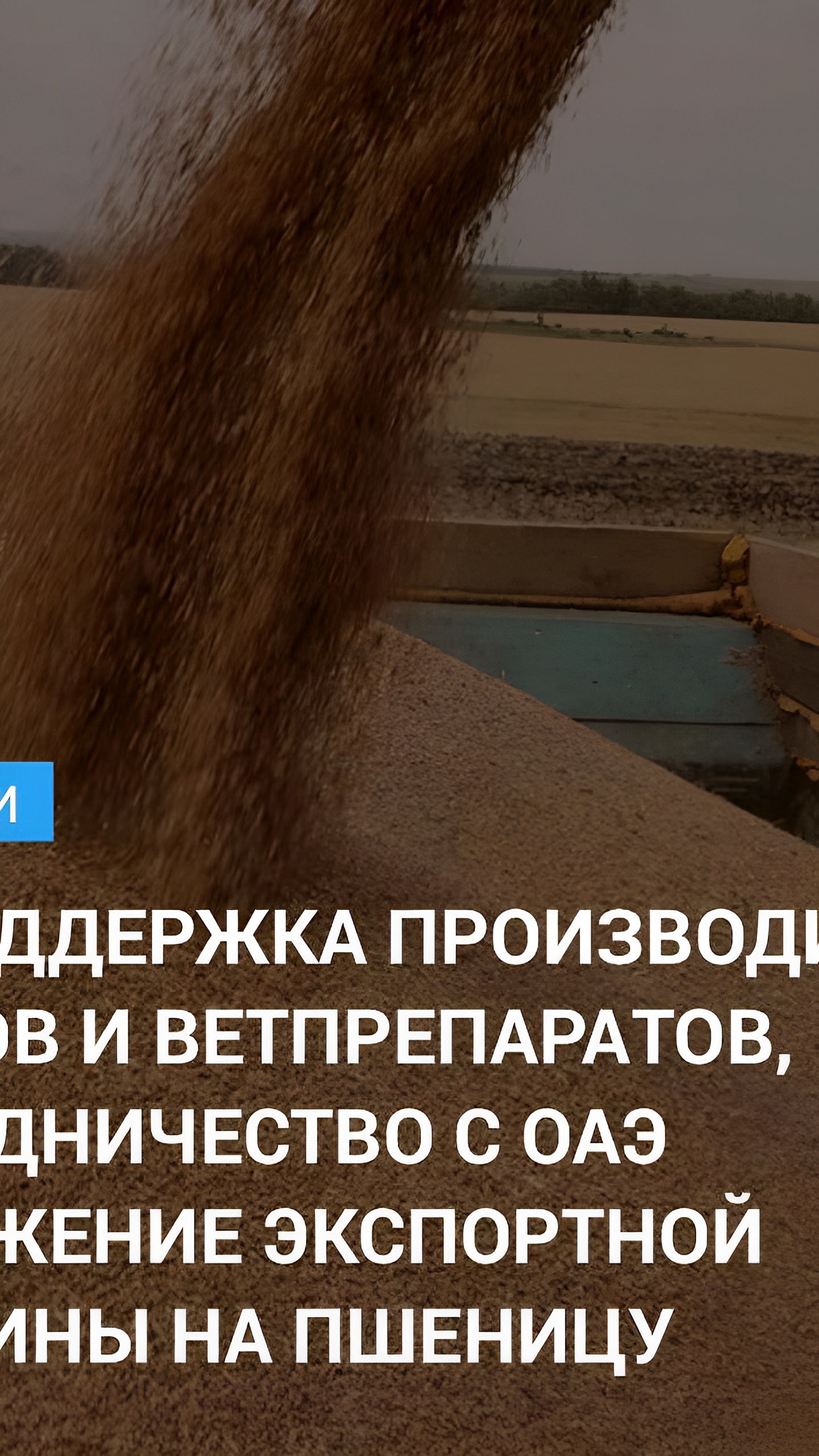 Госдума приняла законопроект о господдержке производителей ветеринарных препаратов