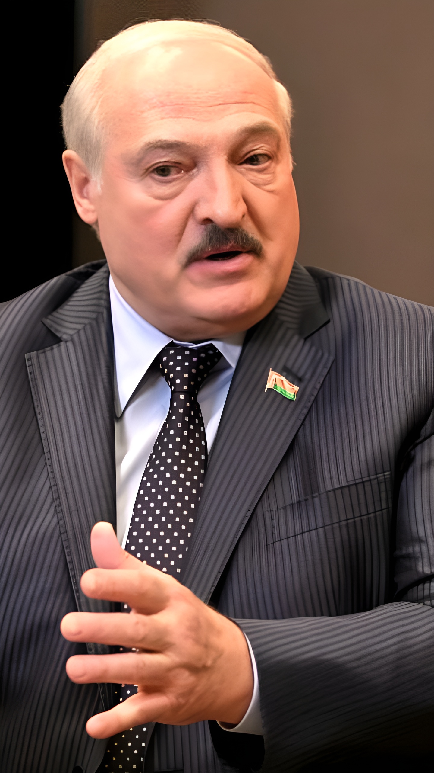 Лукашенко и Николаев обсудили перспективы сотрудничества с Чувашией