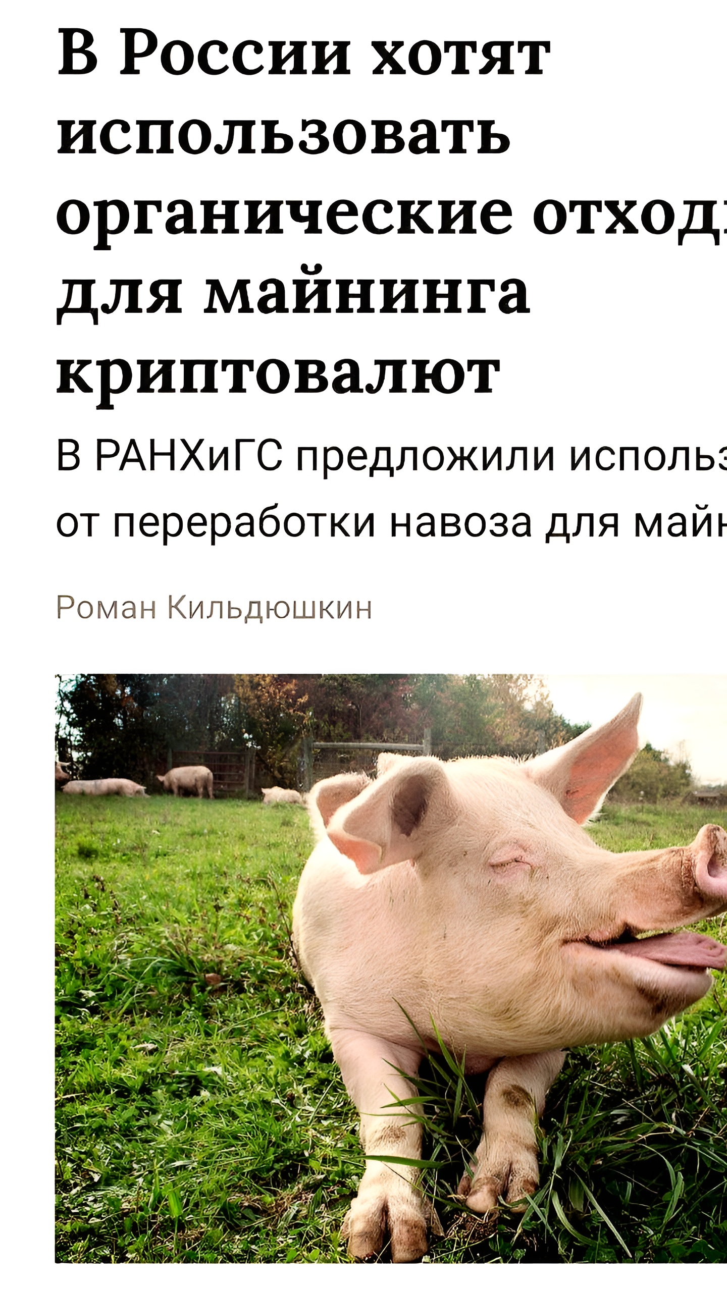 В России предложили использовать электроэнергию от переработки навоза для майнинга криптовалют
