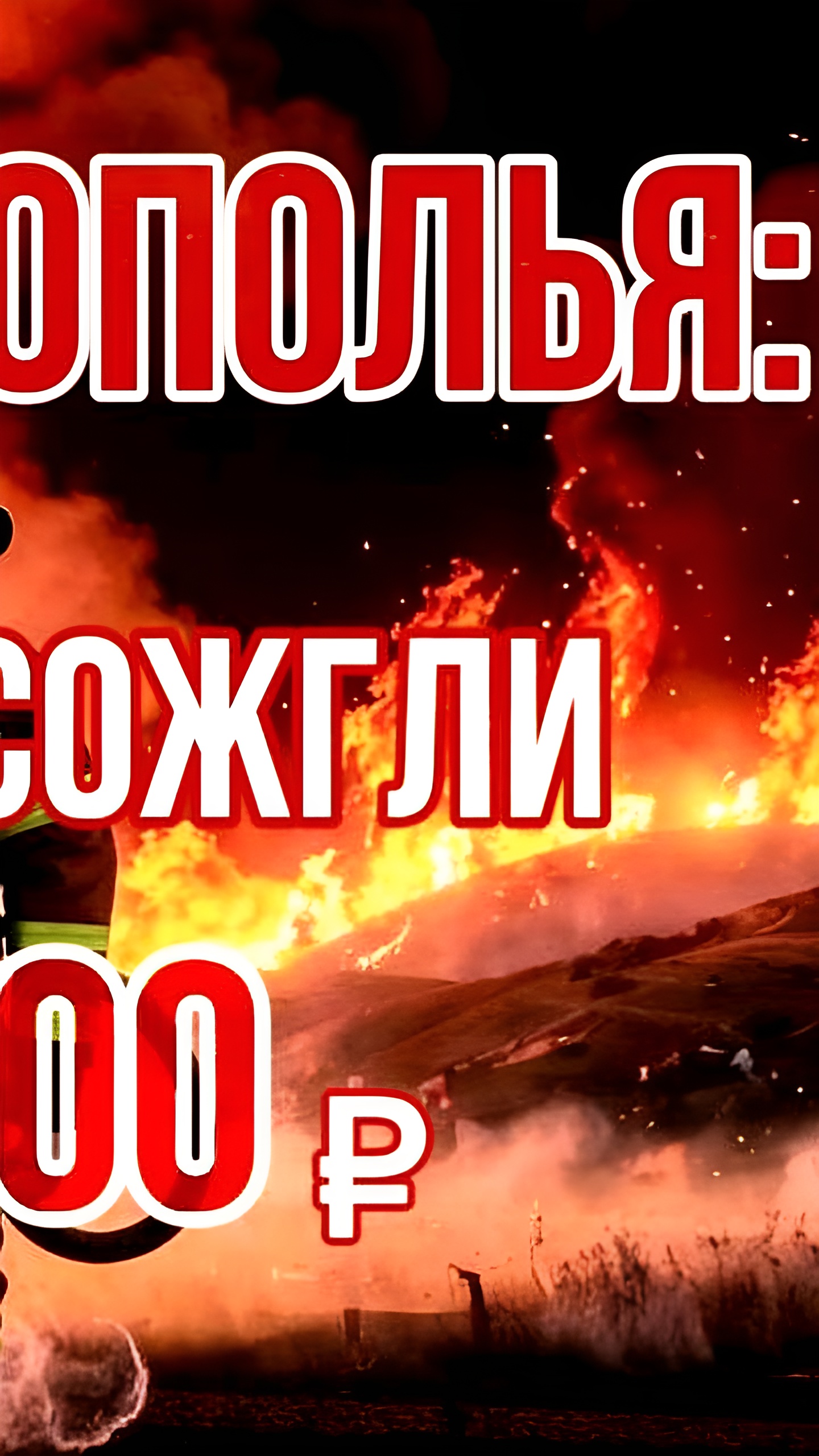 Запорожская и Волгоградская области вводят меры по усилению противопожарной безопасности