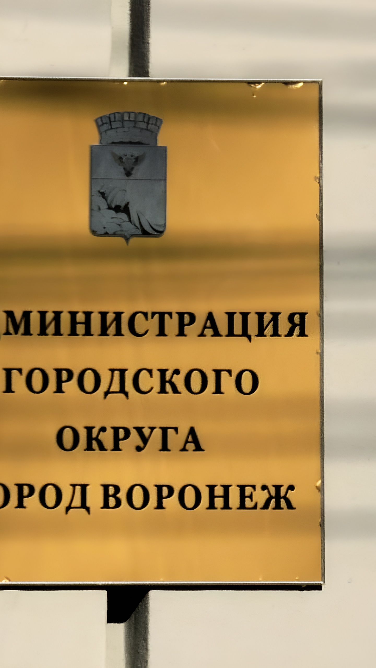 Дмитрий Колодяжный отказался от участия в конкурсе на пост мэра Воронежа