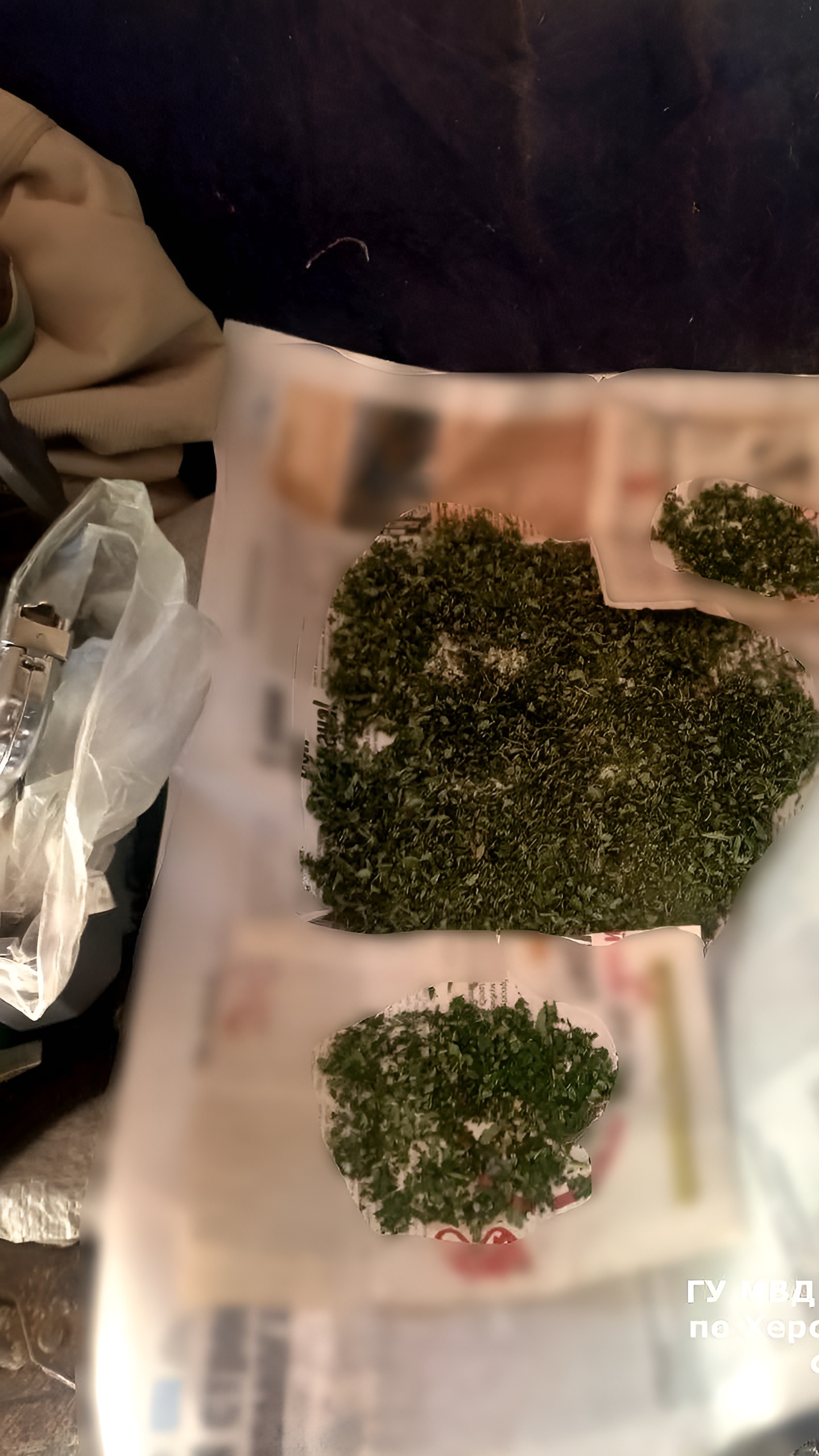 В Чаплынском округе полицейские обнаружили незаконное культивирование конопли