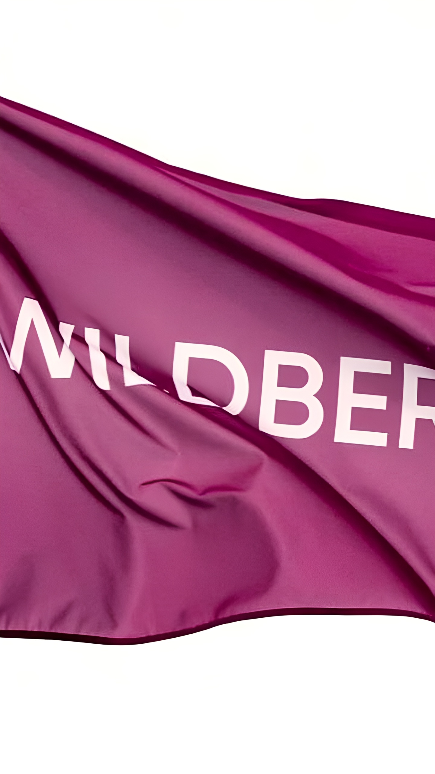 Сергей Ануфриев прокомментировал уход из Wildberries на фоне конфликта с Russ
