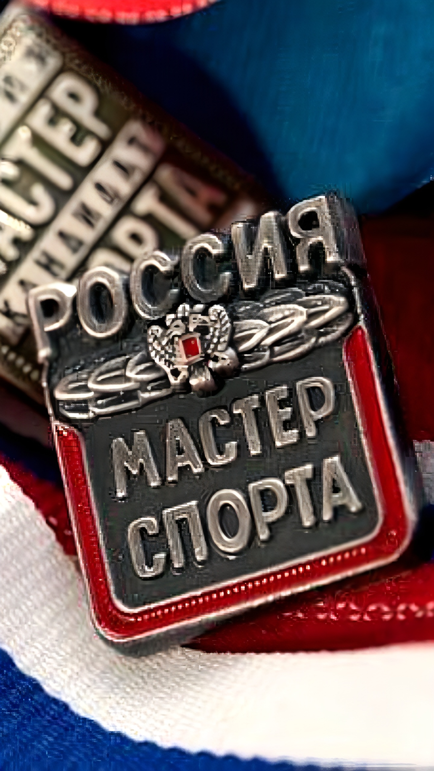 Калужские спортсмены получили звания кандидатов в мастера спорта на церемонии в Хакасии