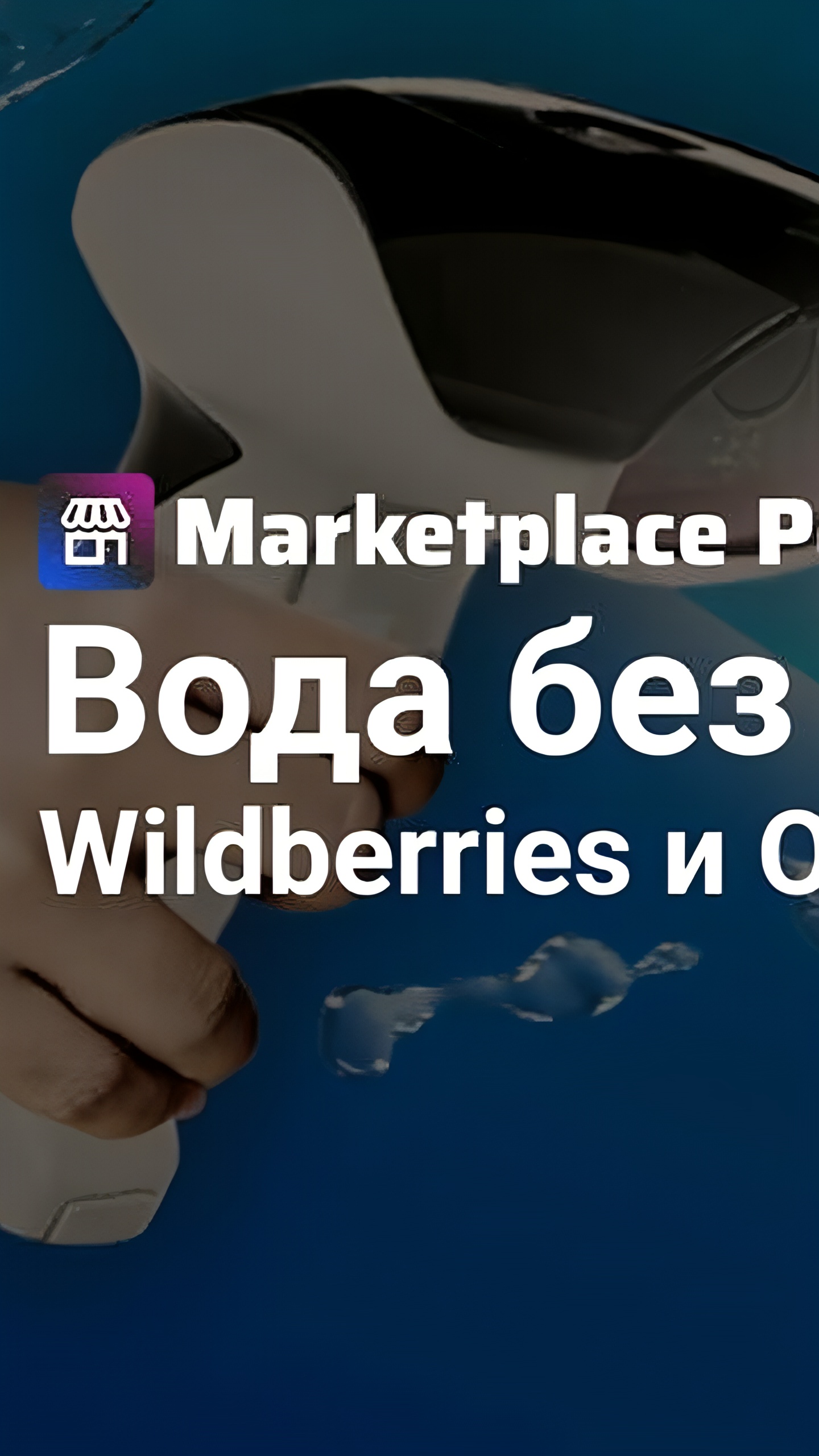 Общественники выявили нарушения в продаже воды на Wildberries и Ozon