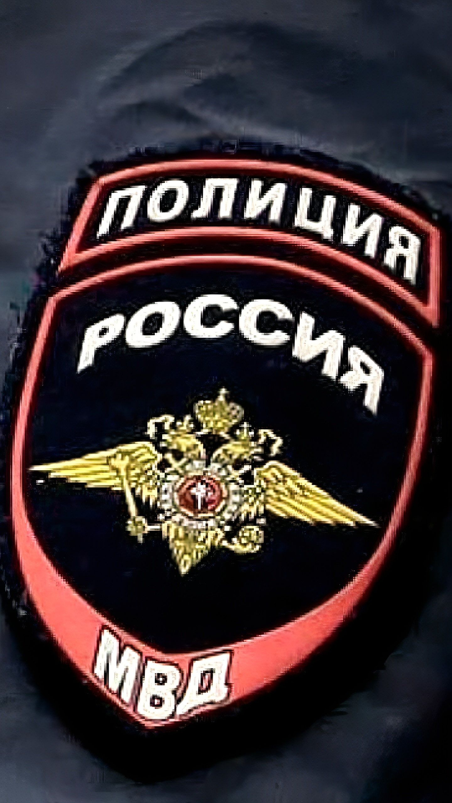 Пенсионерка из Сергиева Посада обратилась в полицию против семьи за поддержку Бандеры