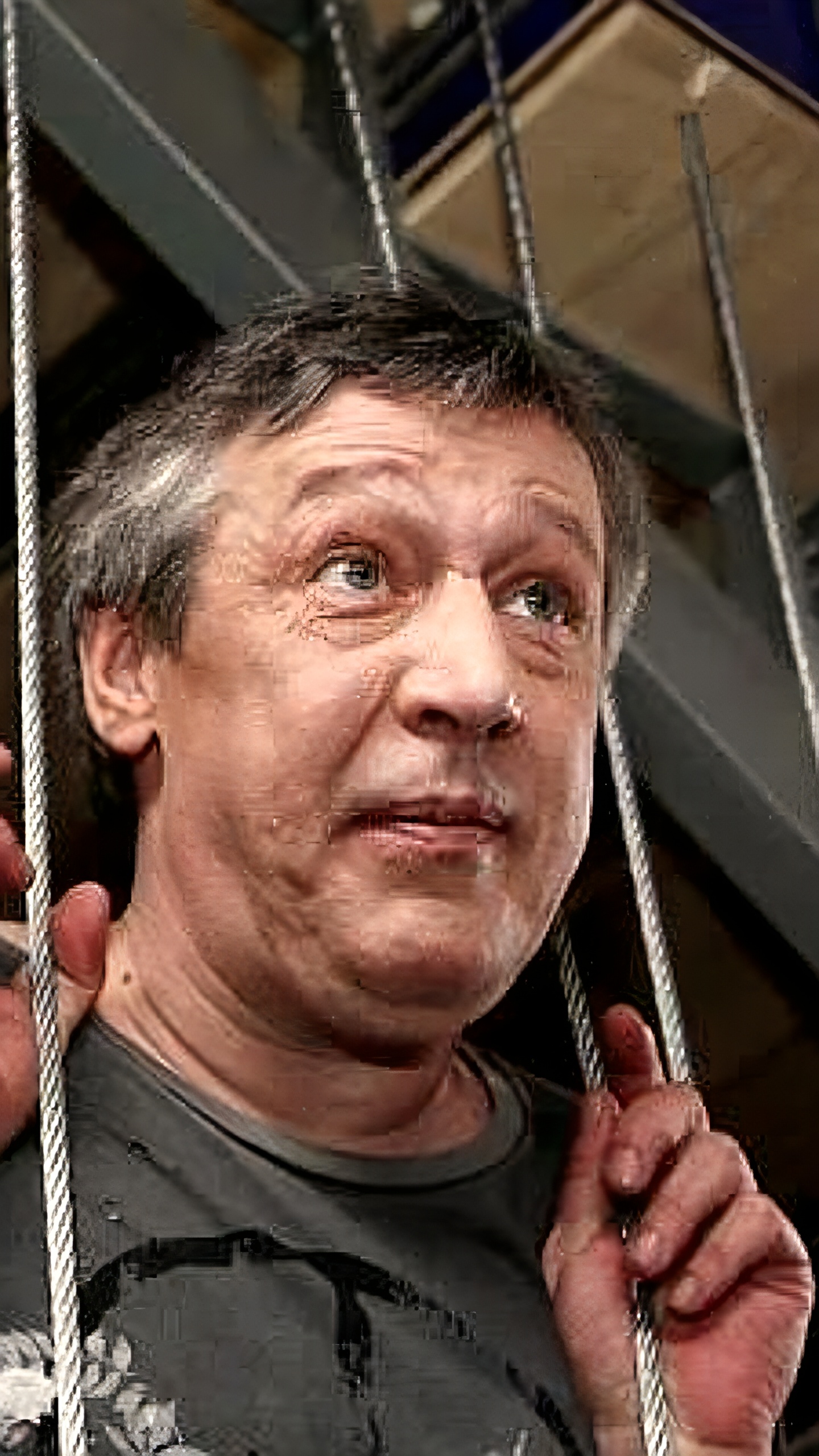 Михаил Ефремов может выйти на свободу по УДО в декабре 2024 года