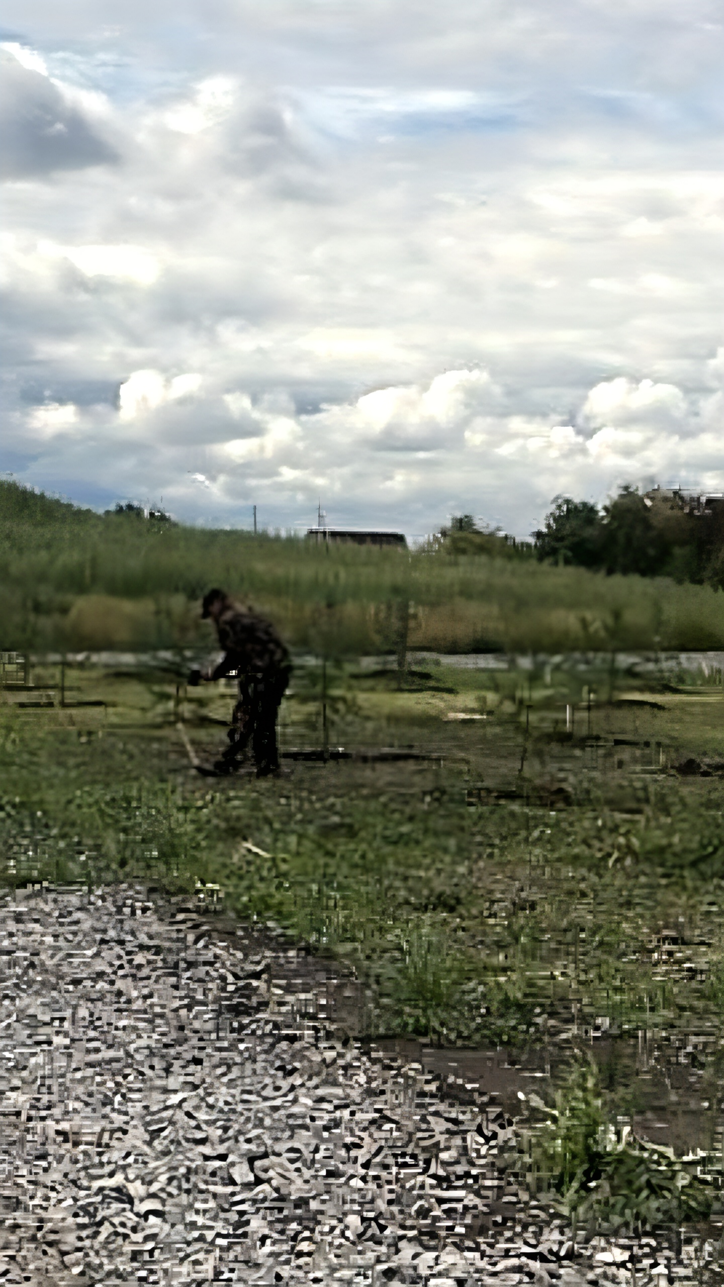 Уголовное дело о мошенничестве при рекультивации свалок в Омске и Красном Яре