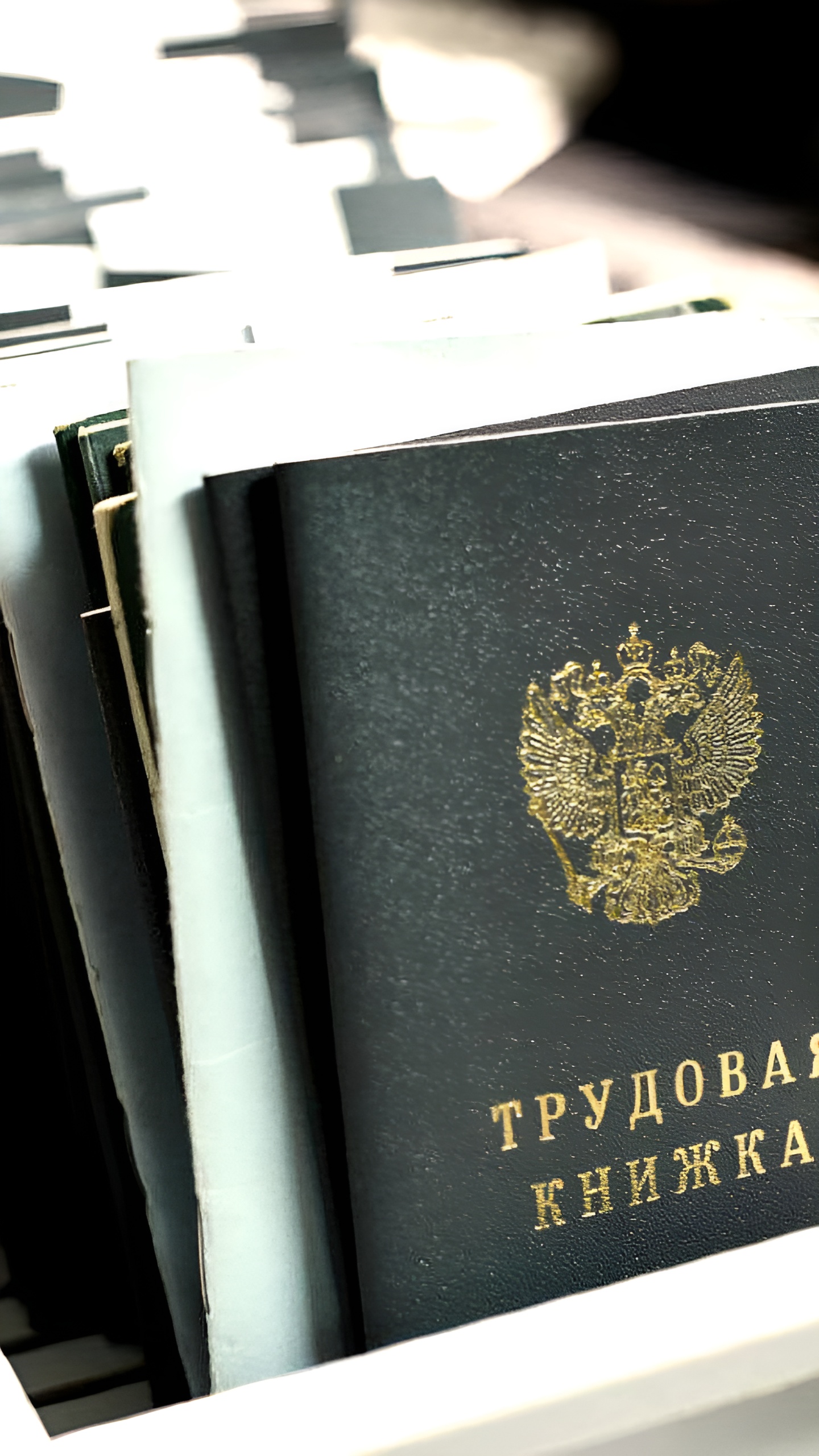 6857 жителей ДНР нашли работу через центры занятости с начала года