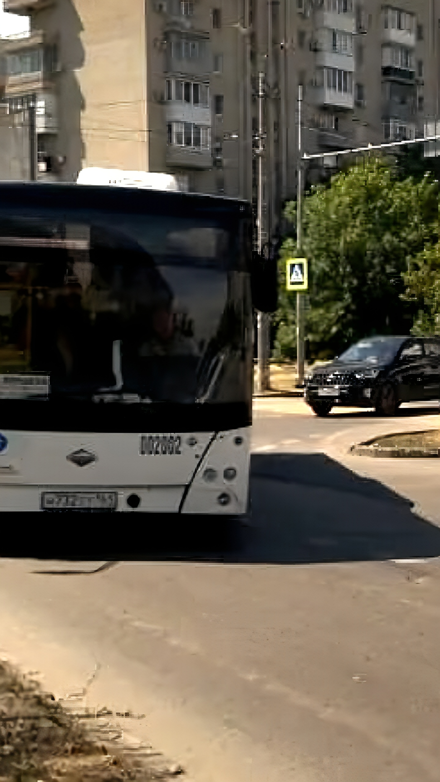 В Москве и Ростове вводят новые выделенные полосы для общественного транспорта