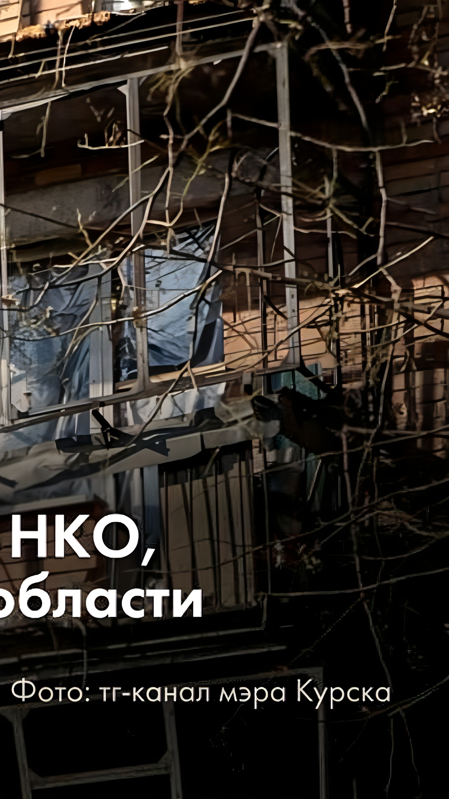 Яндекс запускает акцию поддержки НКО в Курской области с удвоением пожертвований
