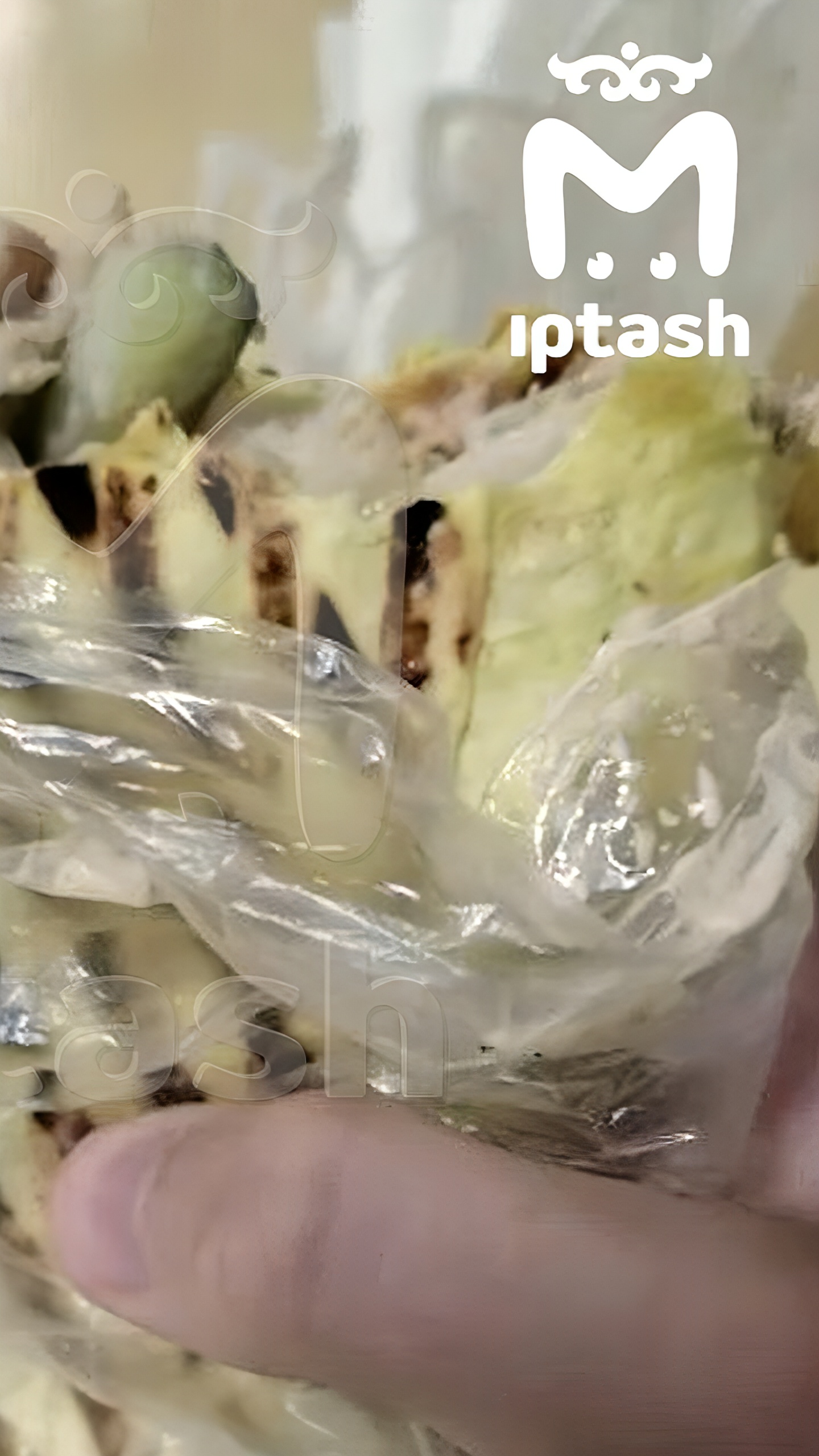 В Татарстане приостановлено кафе после обнаружения опасных бактерий в шаурме