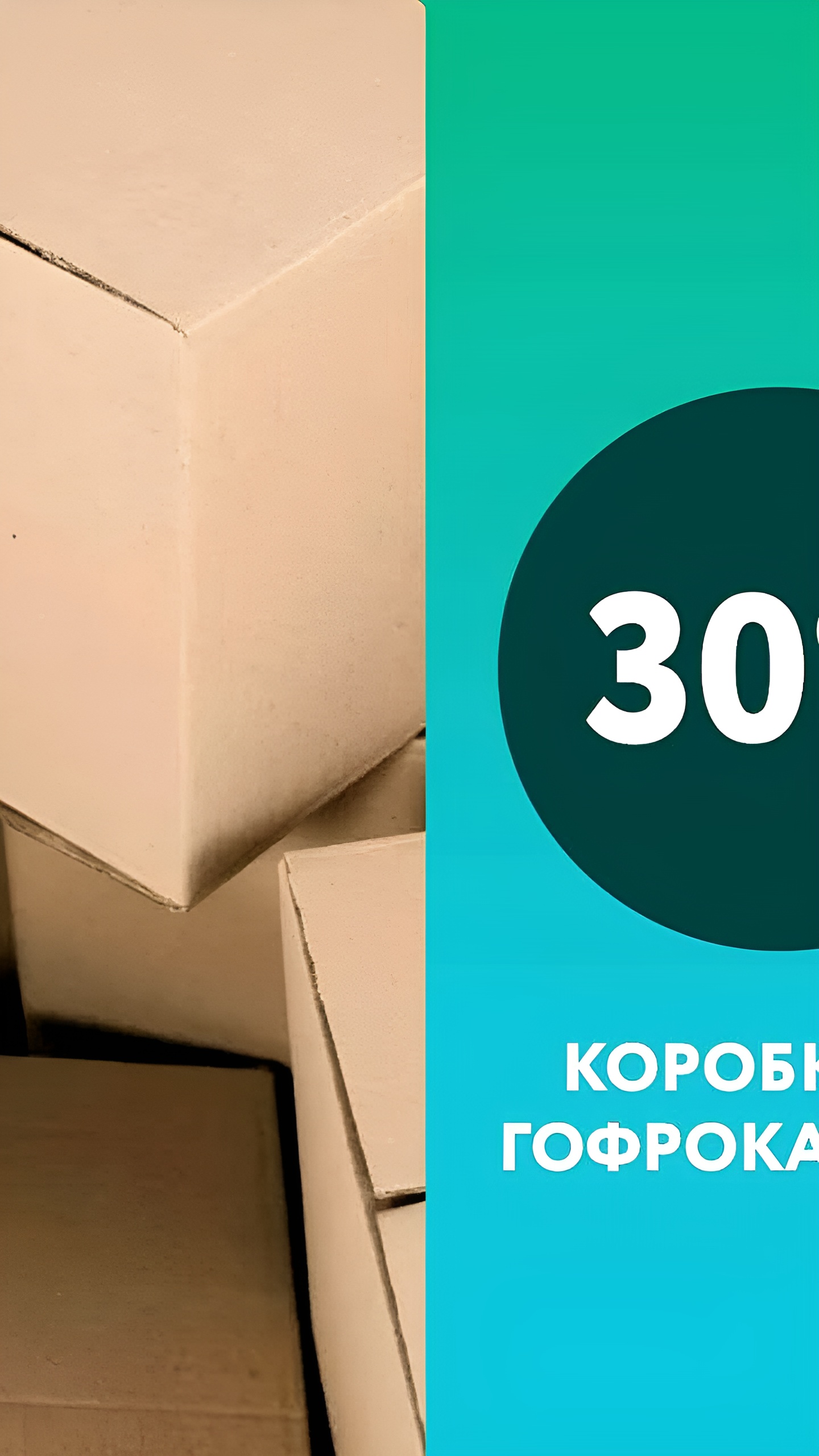 С 2025 года в России введут обязательное использование вторсырья в производстве товаров