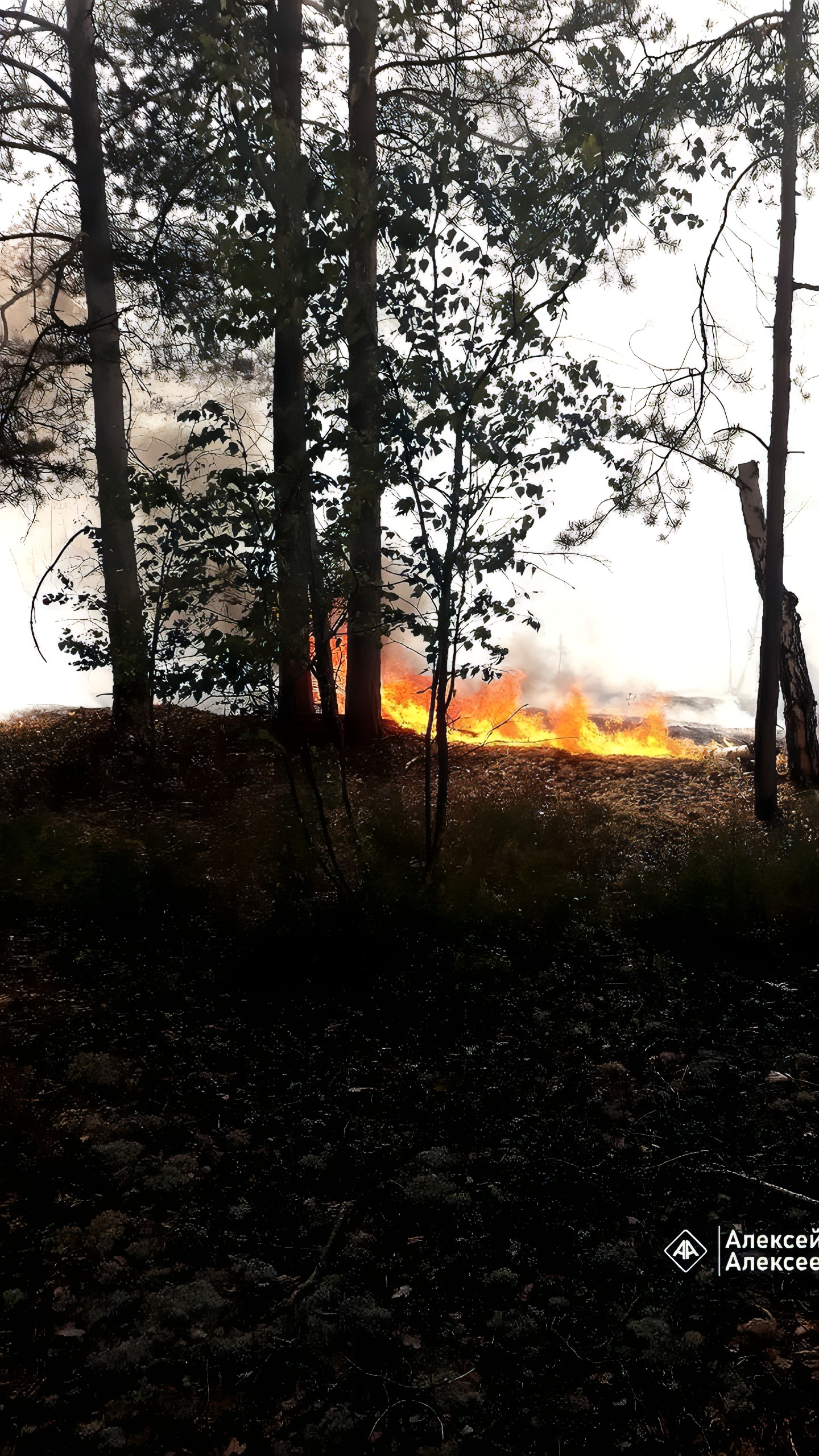 Лесной пожар на землях Минобороны локализован в Нижегородской области