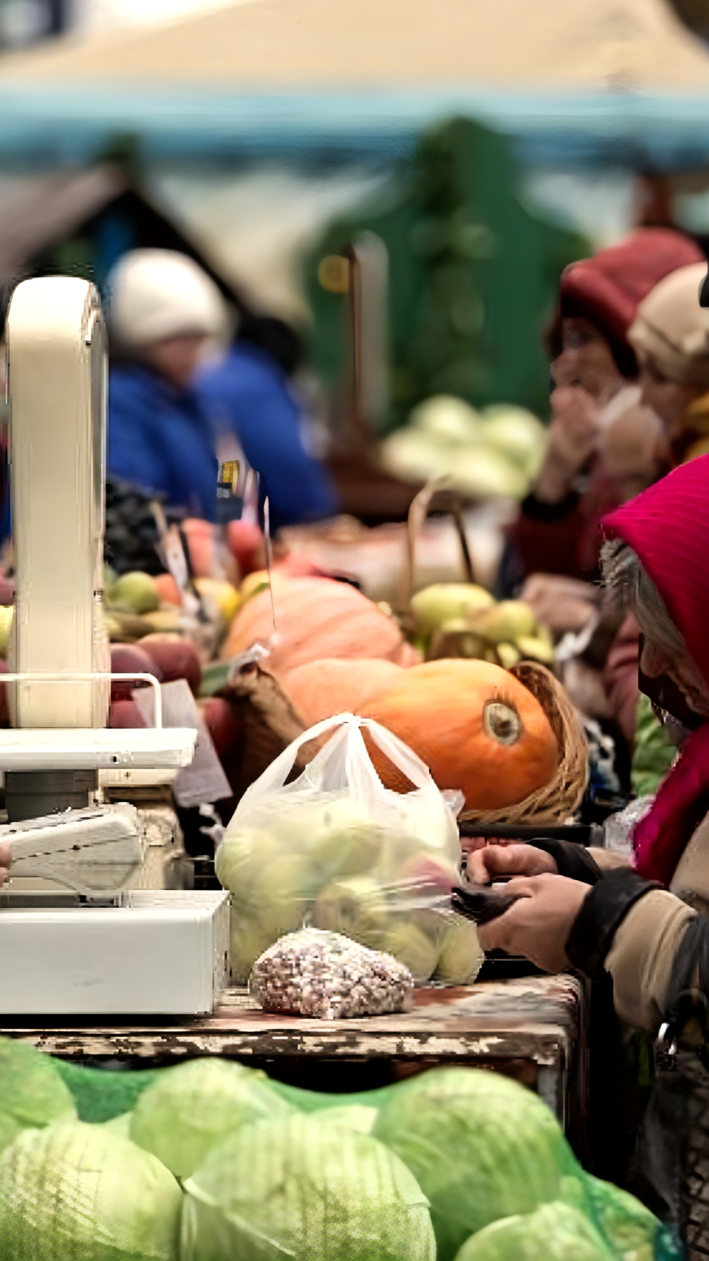 Сельскохозяйственные ярмарки стартуют в Казани с 14 сентября