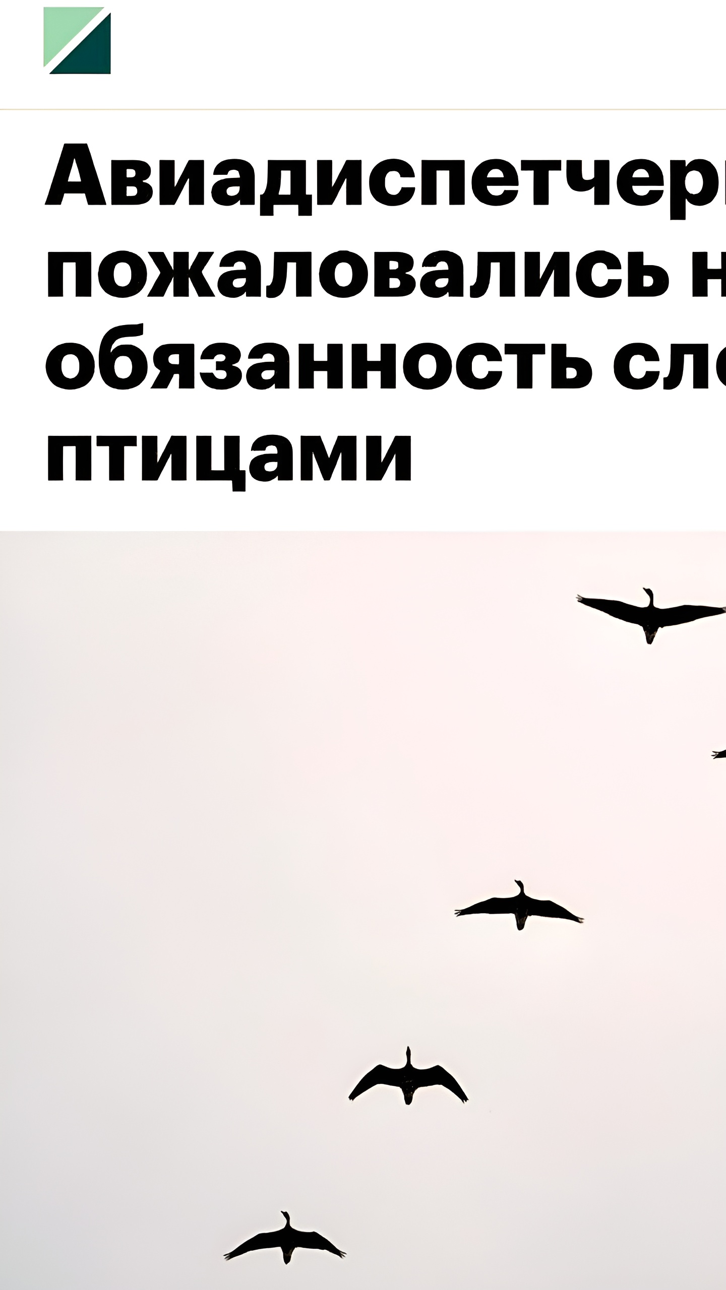 Профсоюз авиадиспетчеров выражает недовольство новыми правилами наблюдения за птицами