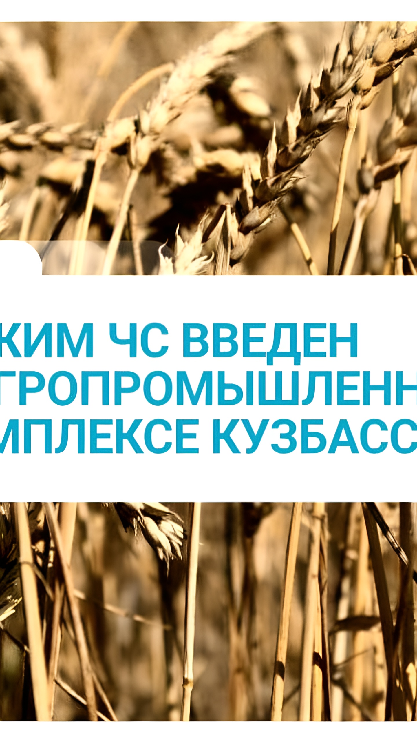 В Кузбассе введен режим ЧС для сельхозпредприятий из-за обильных дождей