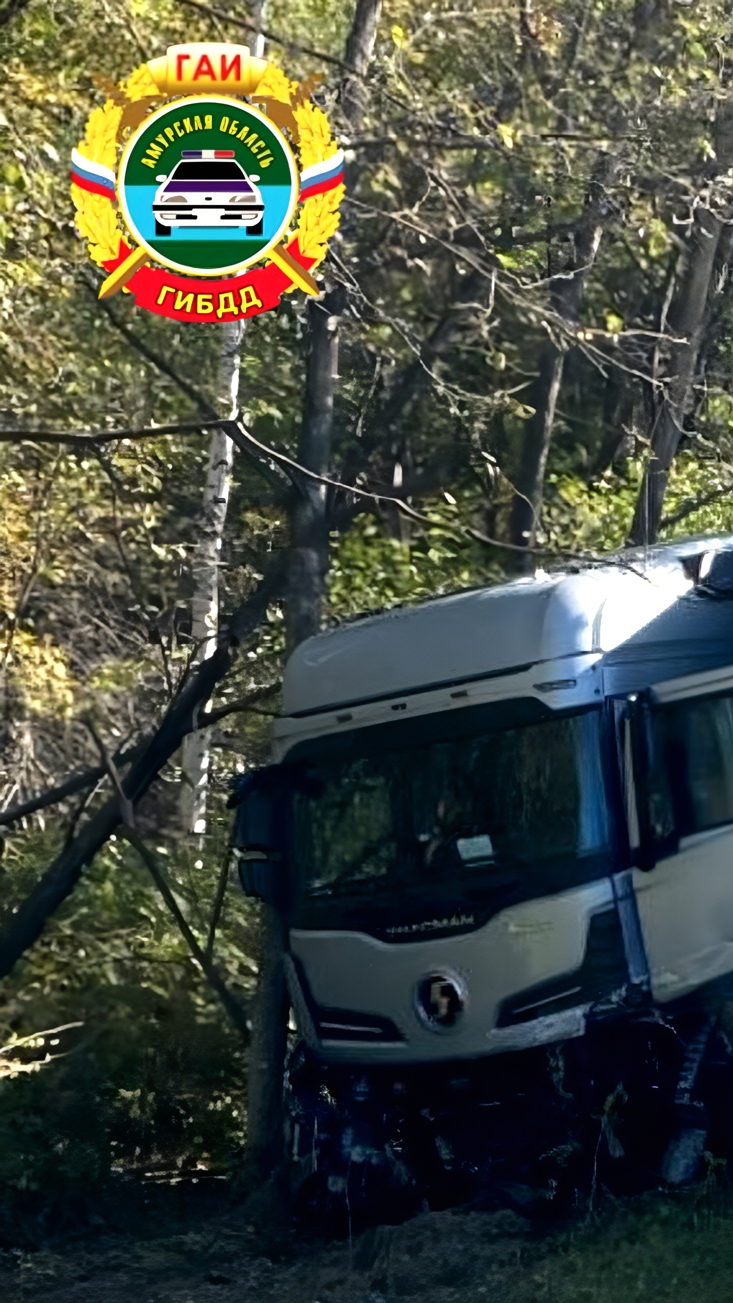 Смертельные ДТП на трассе 'Амур' в Приамурье: пять погибших за утро
