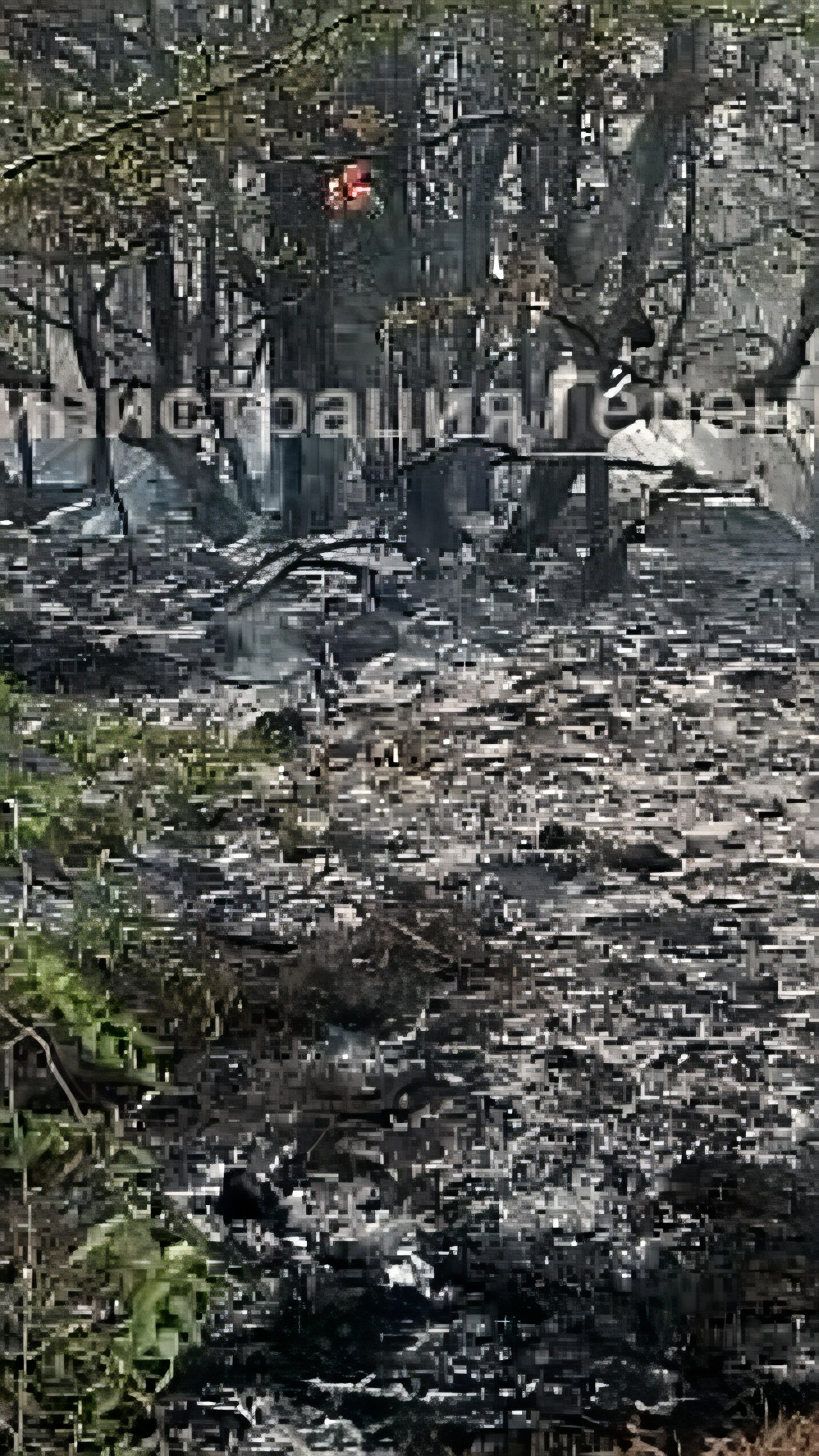 Пожар в Геленджике локализован: причина поджог