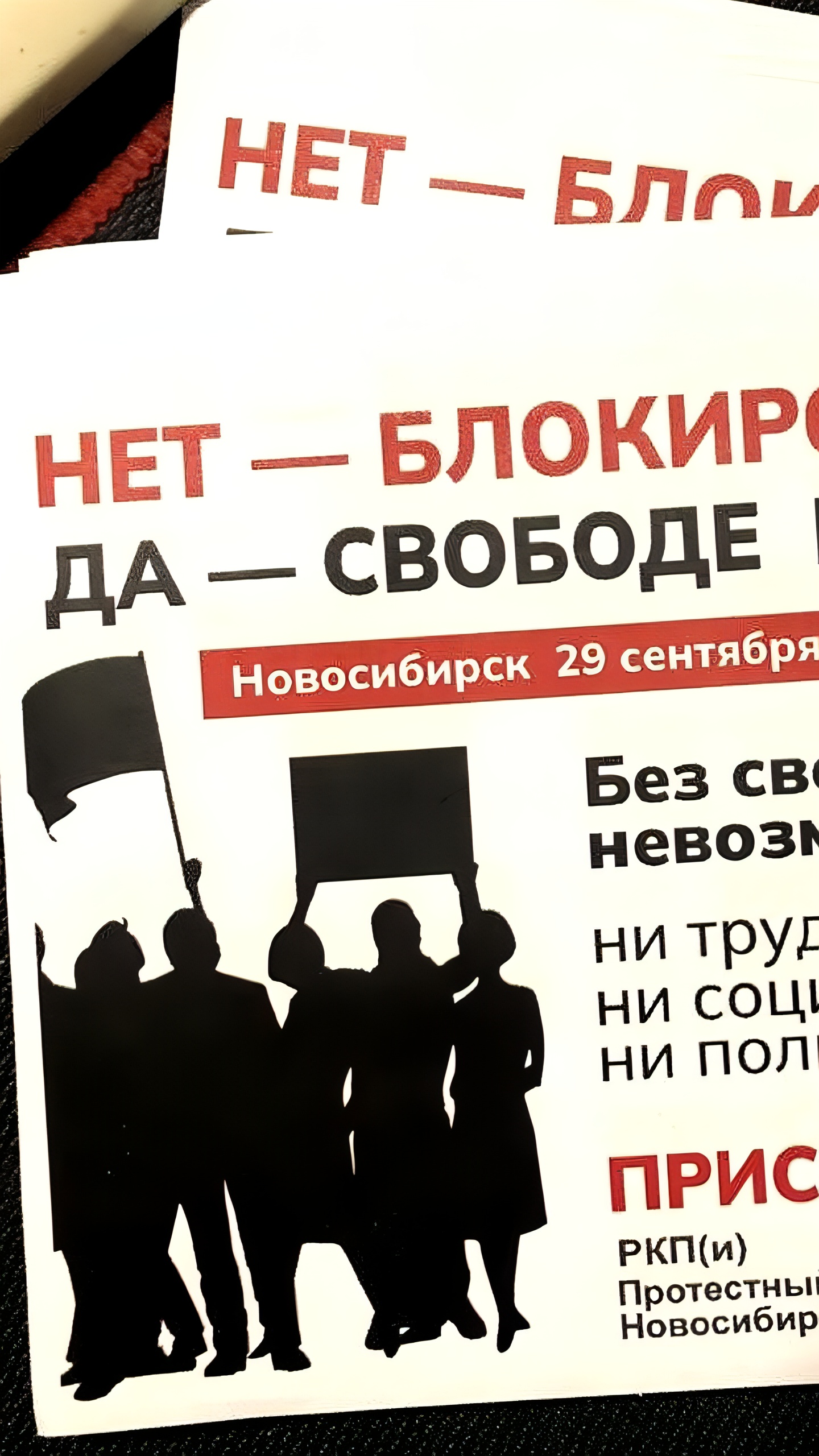 Мэрия Новосибирска запретила митинг в поддержку YouTube