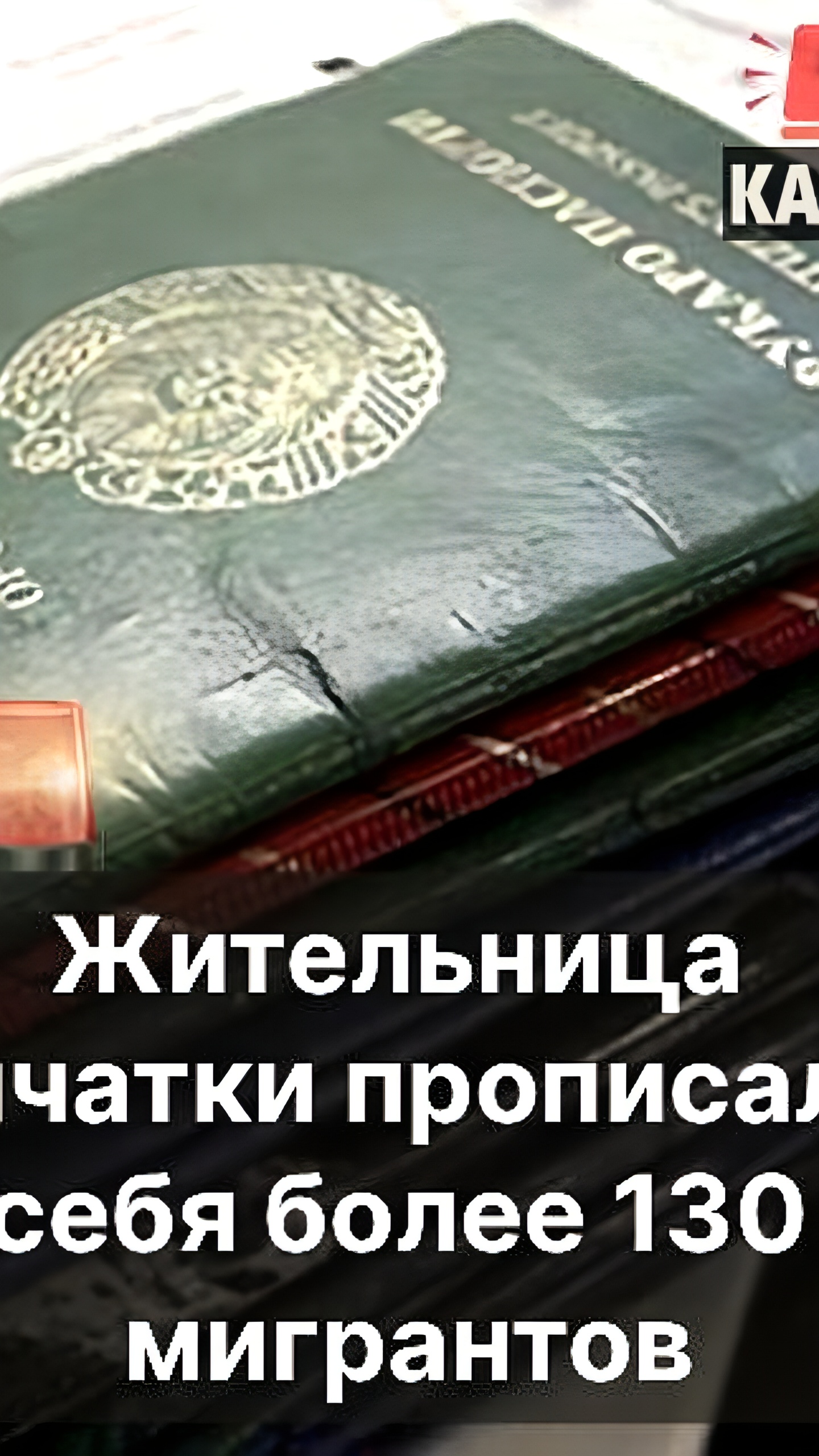 Жительница Петропавловска-Камчатского подозревается в фиктивной прописке 135 иностранцев