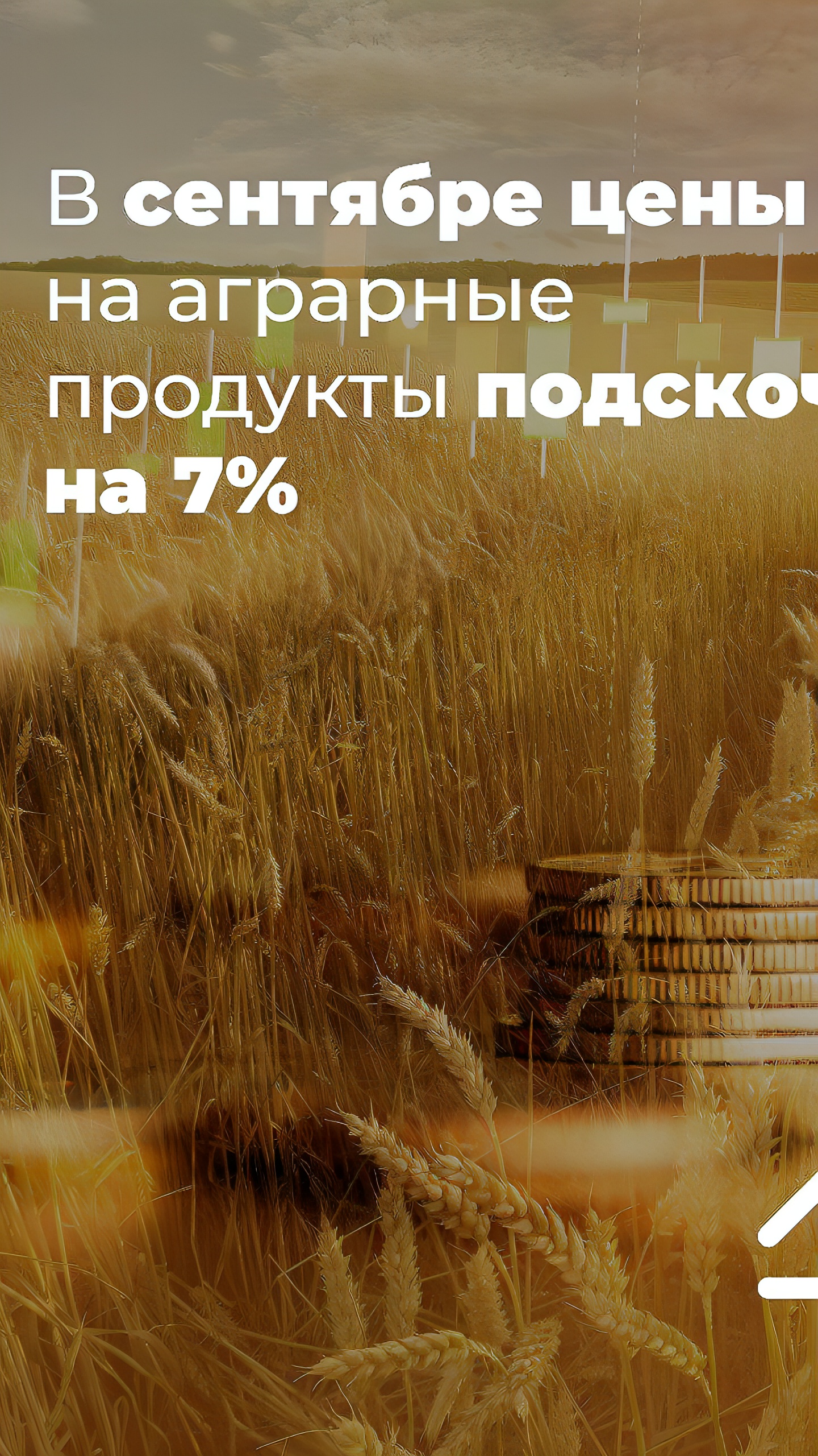 Рост цен на аграрные продукты в сентябре на фоне инфляции в России