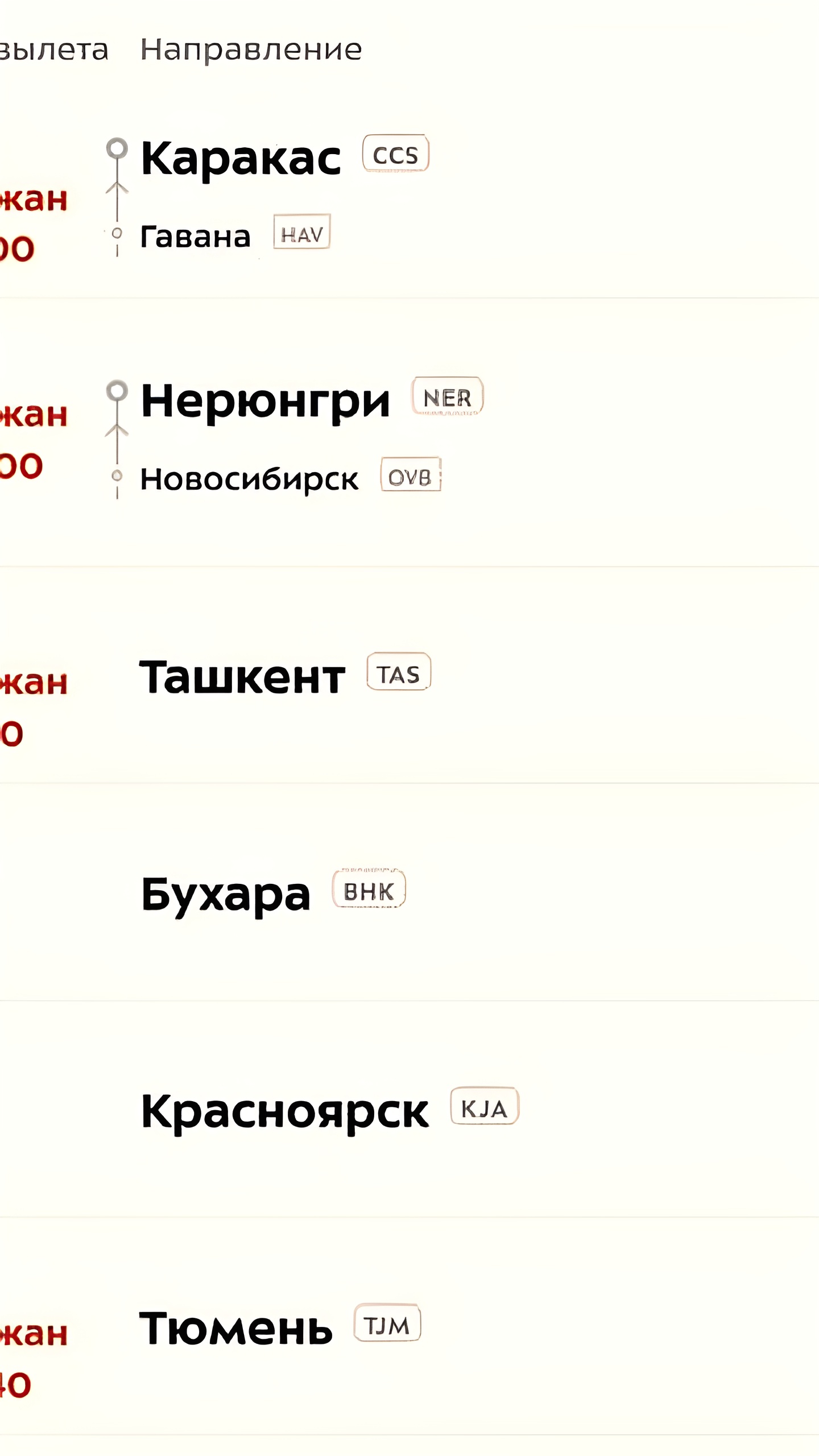 В аэропорту Внуково временные ограничения на полеты не повлияли на работу