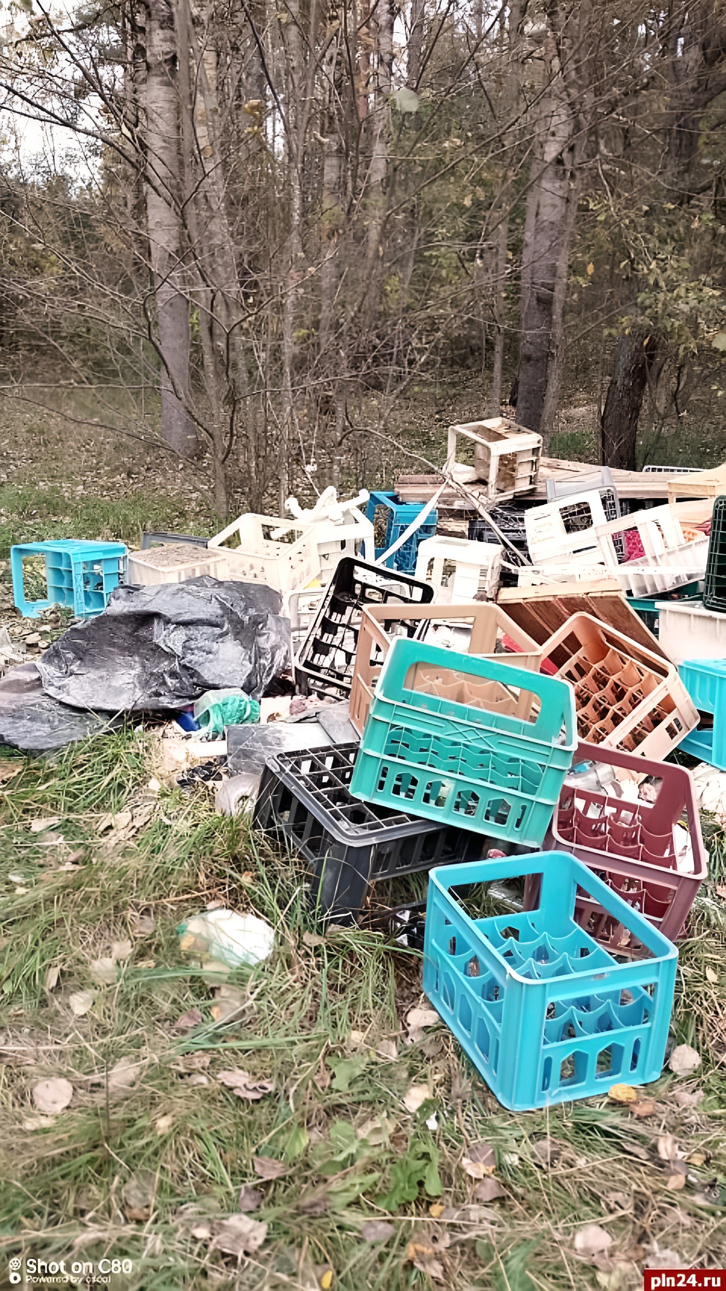 Очистка свалок в Светлодолинском и Хабаровском питомнике: шаги к улучшению экологии