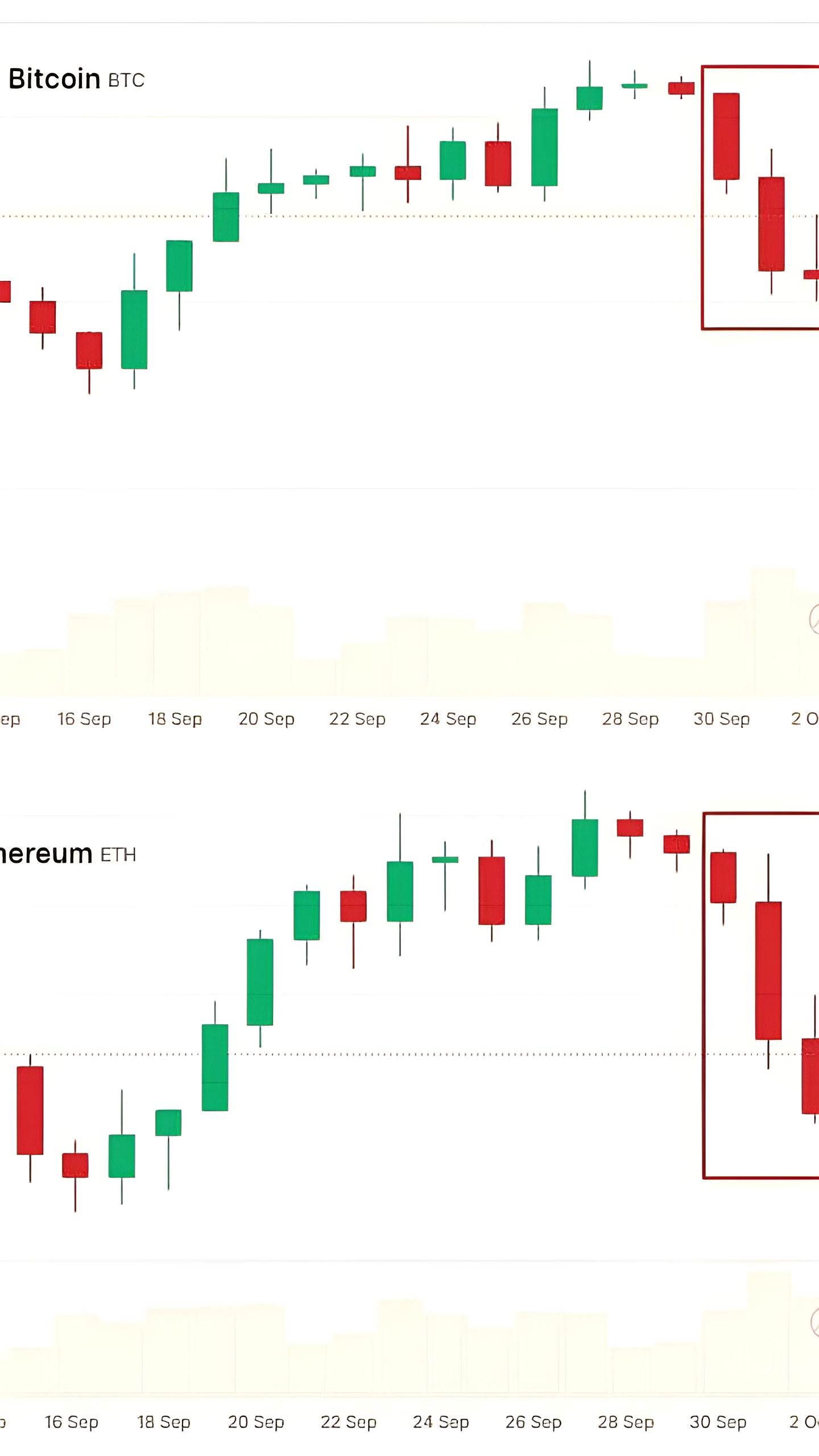 Публичные компании принимают BTC-стандарт и увеличивают долгосрочные инвестиции в биткойн