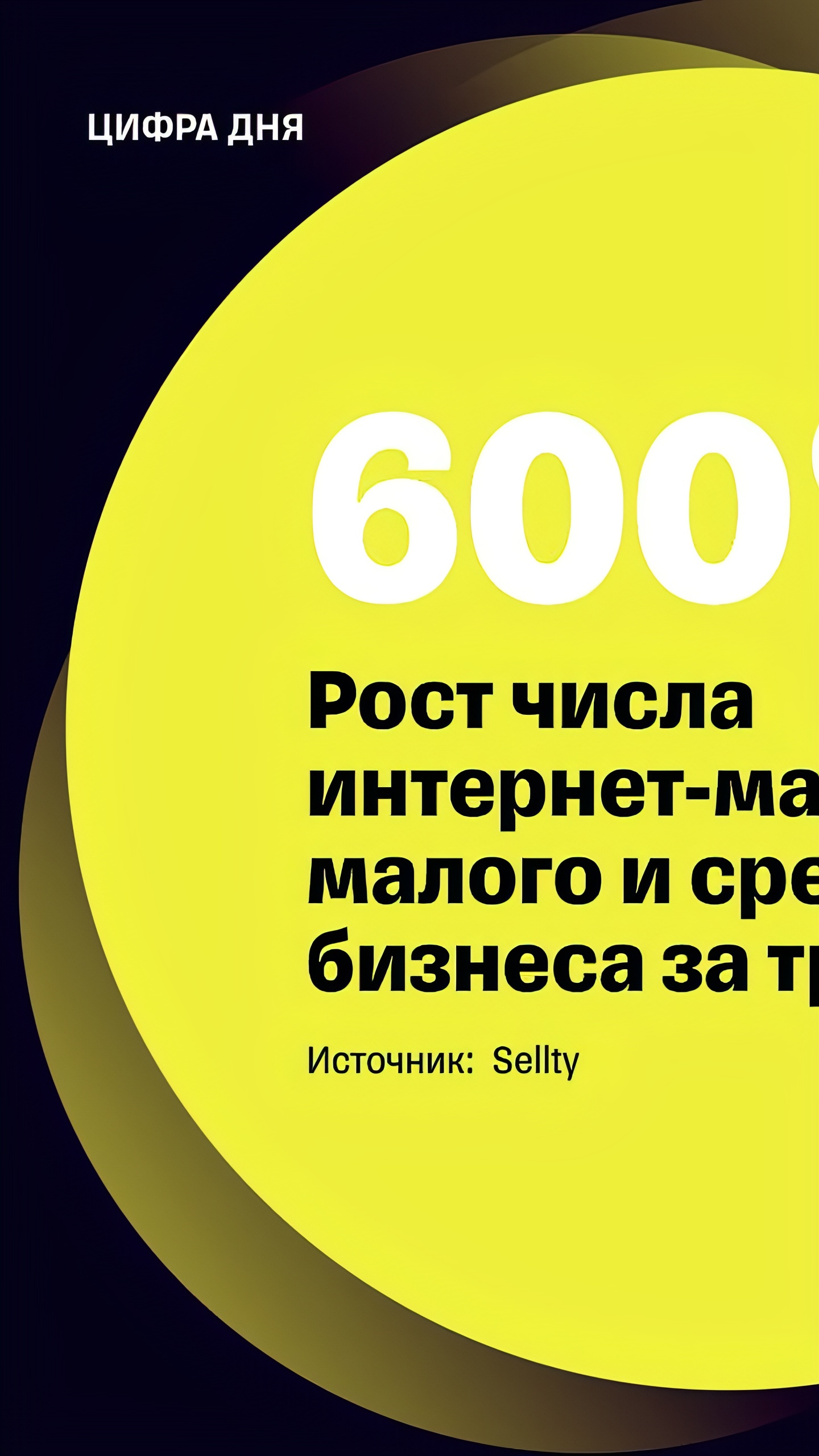 Рост онлайн-продаж зоотоваров и DIY-товаров в России