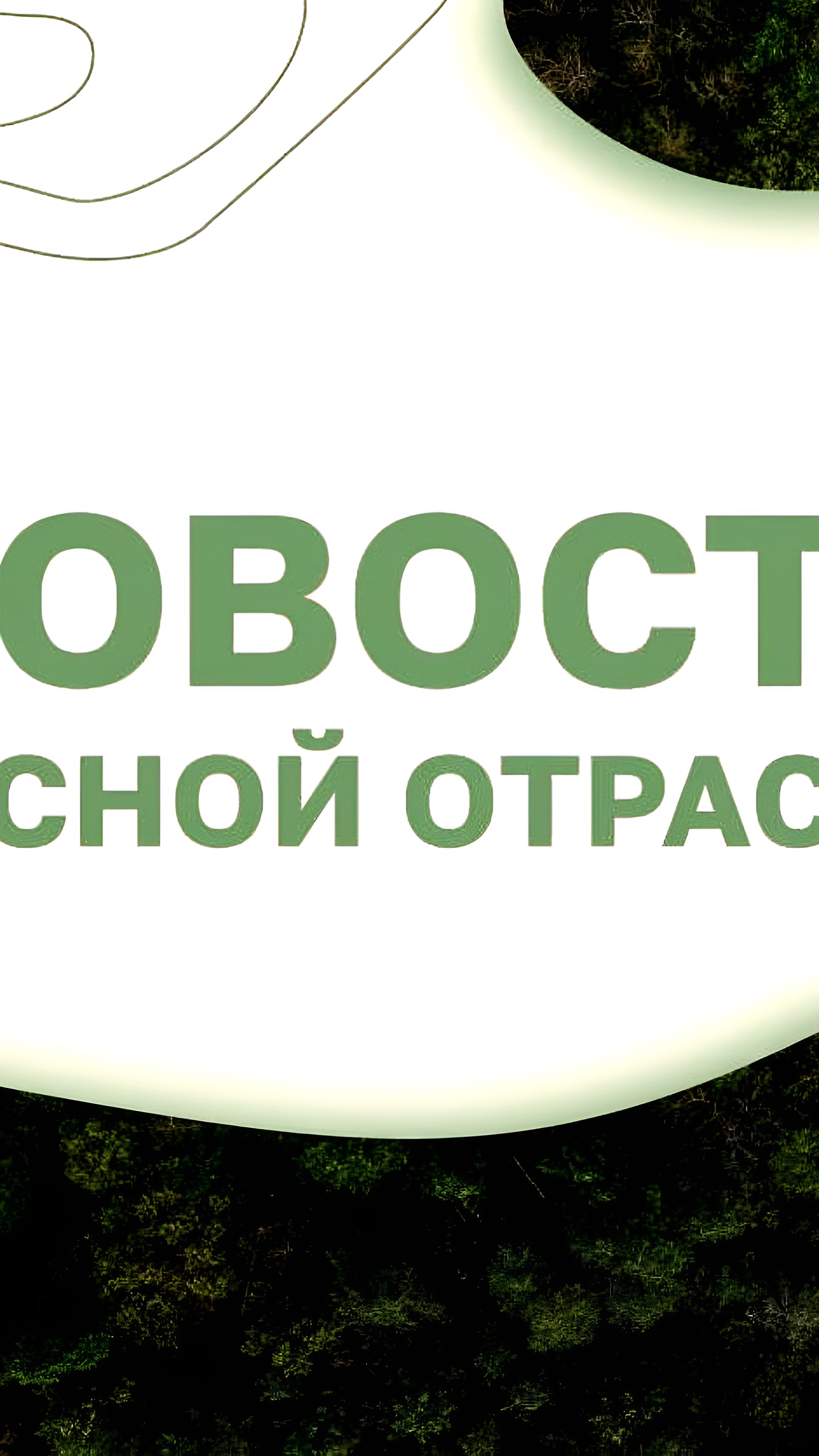 Рослесхоз выявил нарушения в лесном хозяйстве Амурской и Волгоградской областей