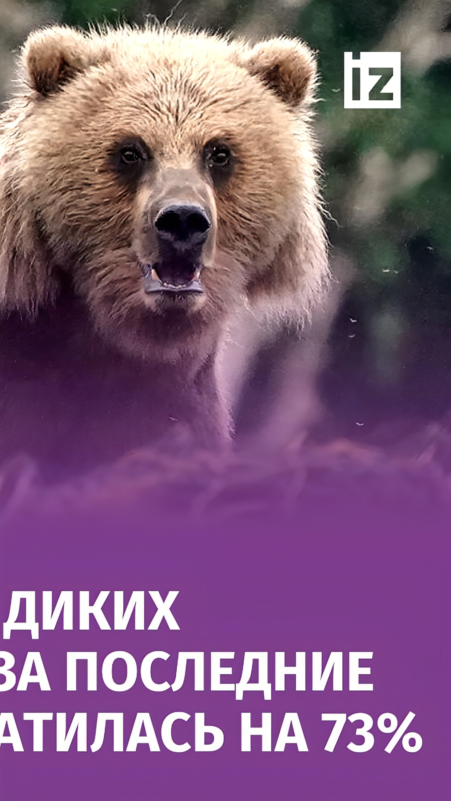 Численность диких животных сократилась на 73% за последние 50 лет, согласно отчету WWF