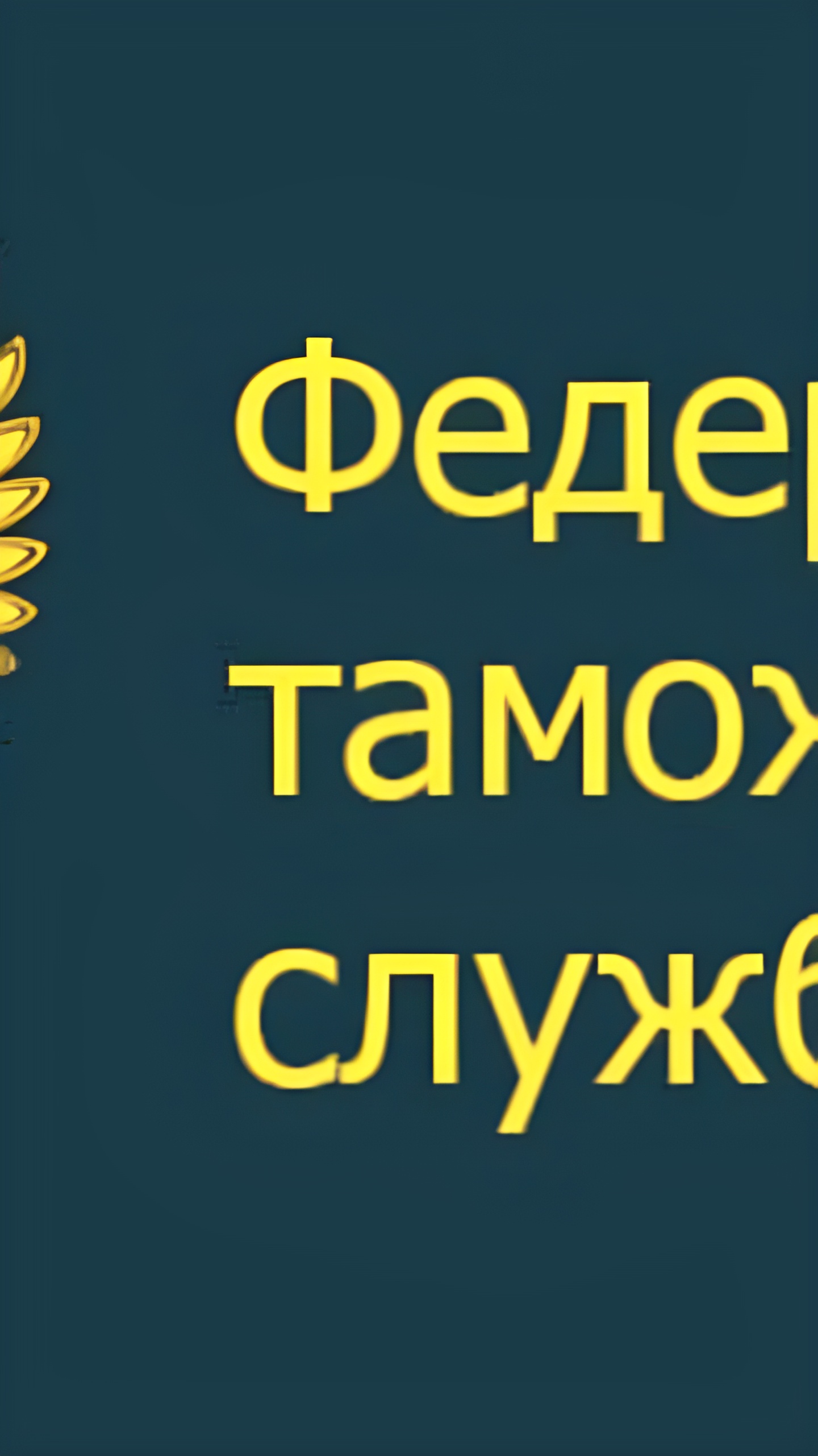 Сальдо внешней торговли России достигло $100 млрд благодаря росту экспорта и снижению импорта