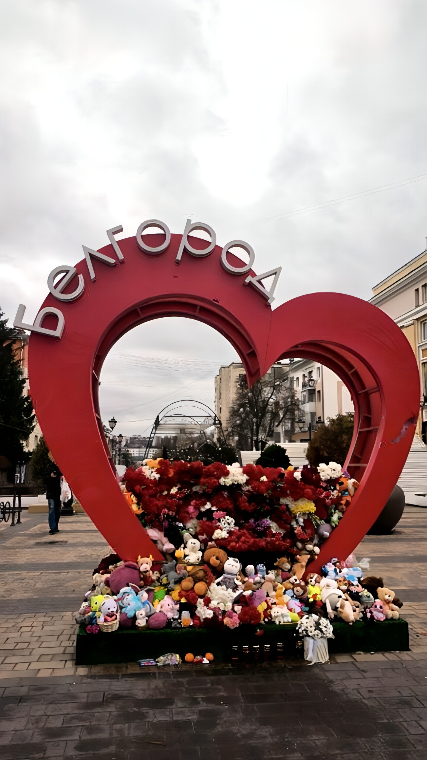 Смертность среди мирных жителей в Белгородской, Курской и Брянской областях достигла 400 человек с 2022 года