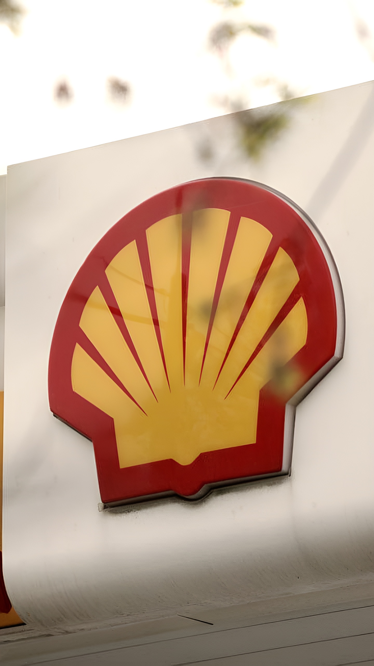 Арбитражный суд Москвы рассмотрит иск Генпрокуратуры к Shell о взыскании убытков