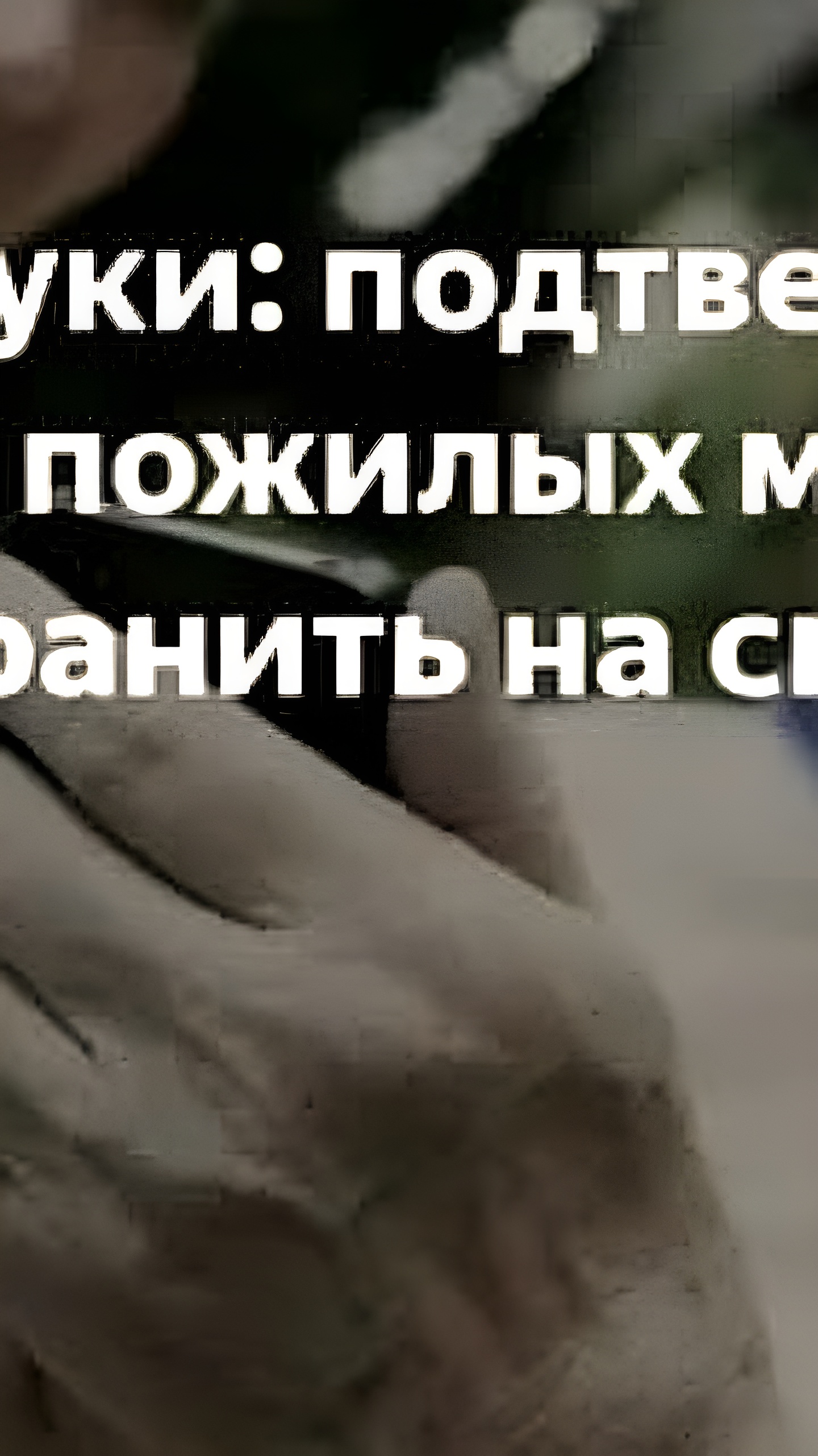 Госдума рассматривает законопроект о механизме 'второй руки' для пожилых граждан