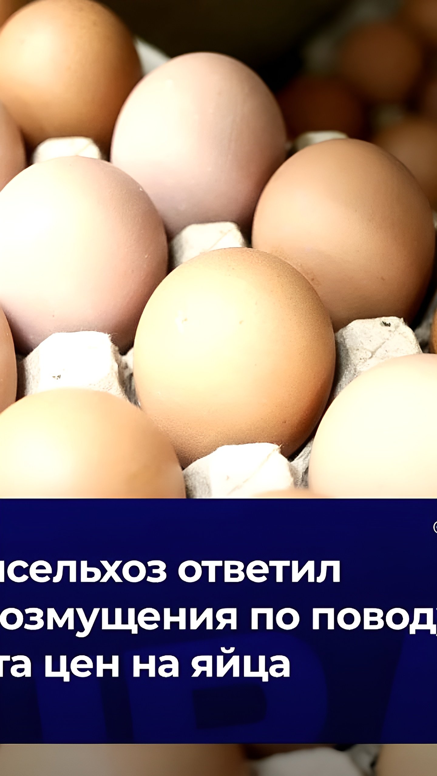 Цены на куриные яйца в России снизились на 20-26% с начала 2024 года