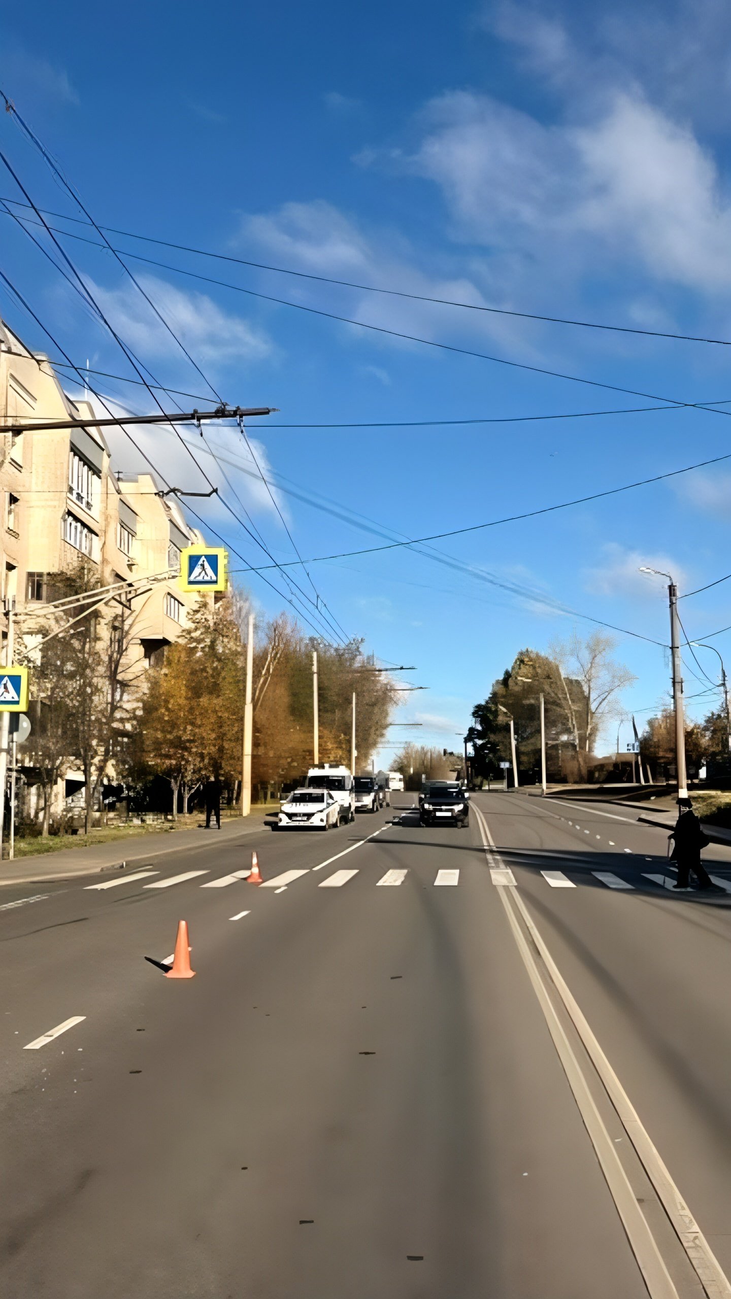 Установлен водитель, сбивший пожилую женщину в Орле