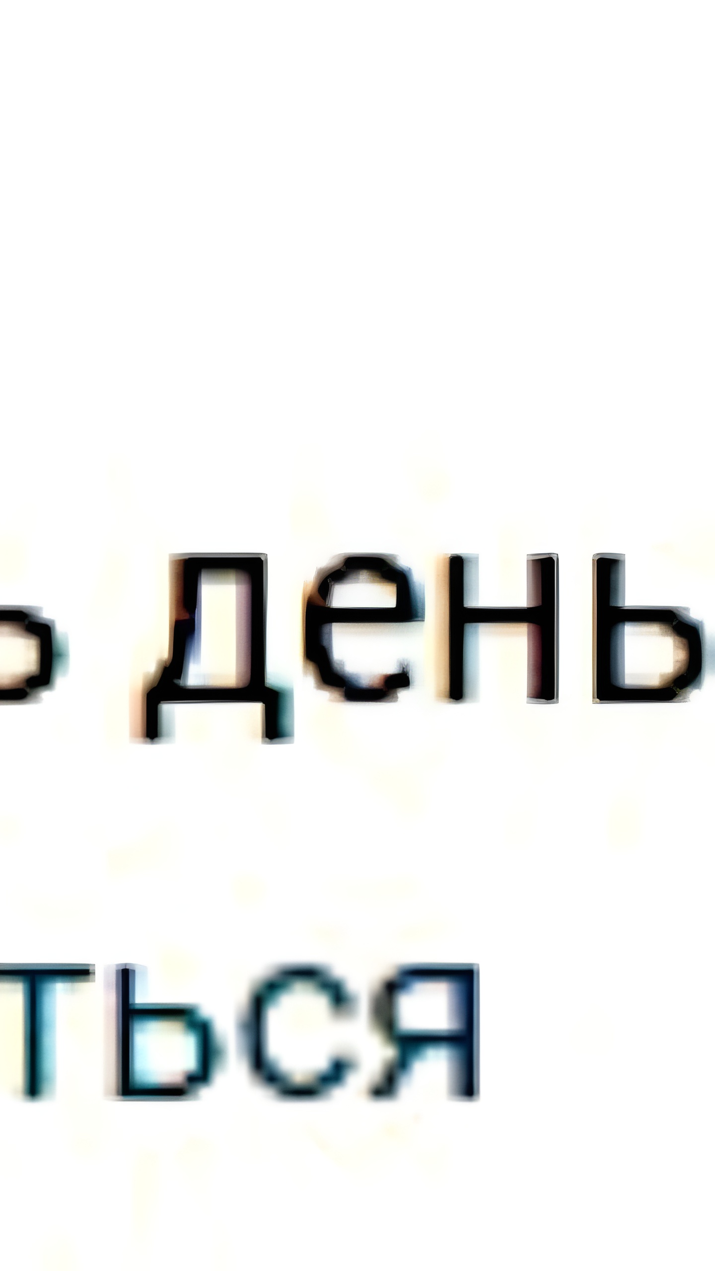 Администрация Юрьев-Польского ищет ель для Нового года