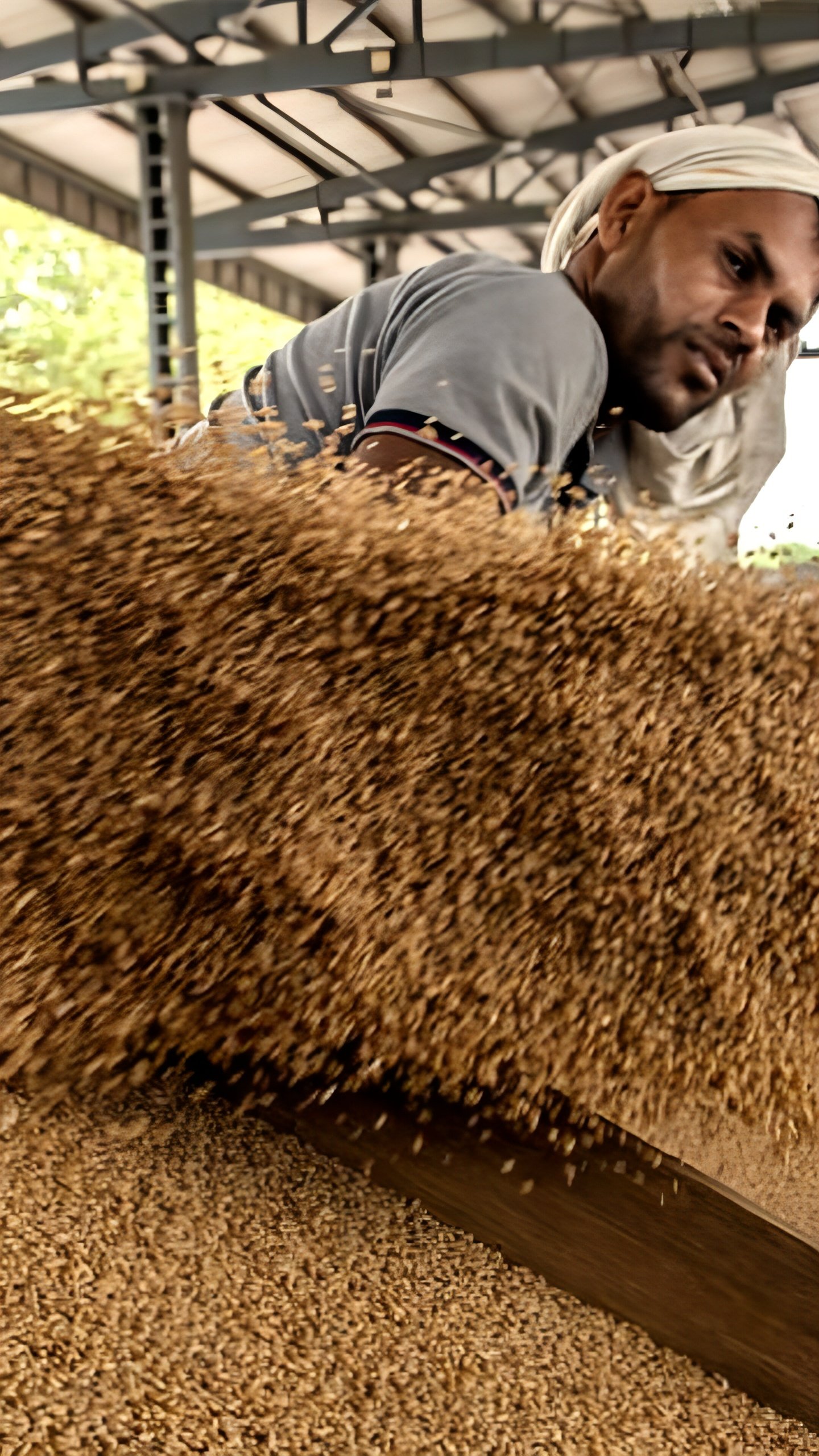 Россия увеличивает экспорт сельскохозяйственной продукции в Индонезию