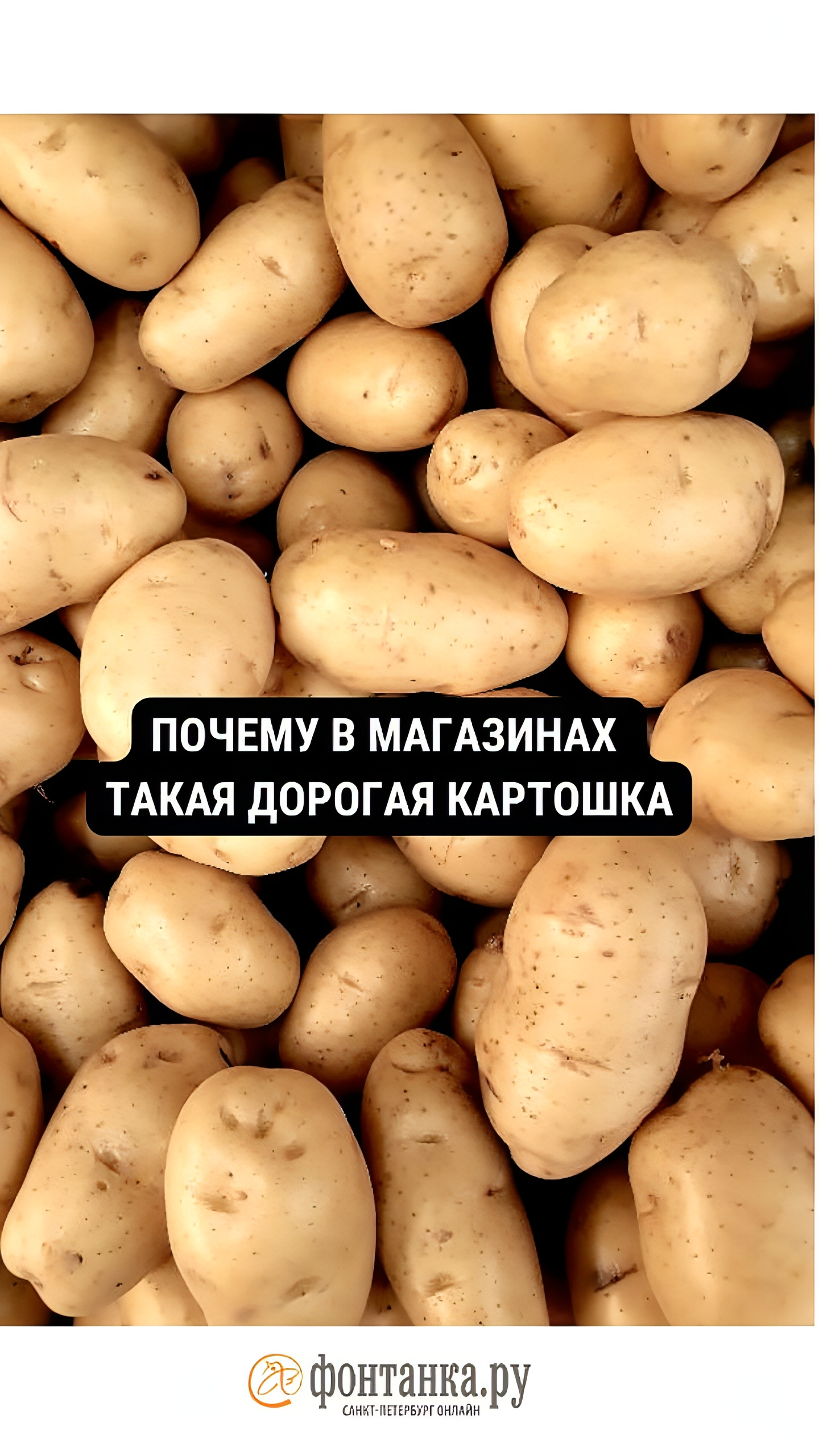 Цены на картофель в России выросли на 50% из-за низкого урожая и увеличения издержек