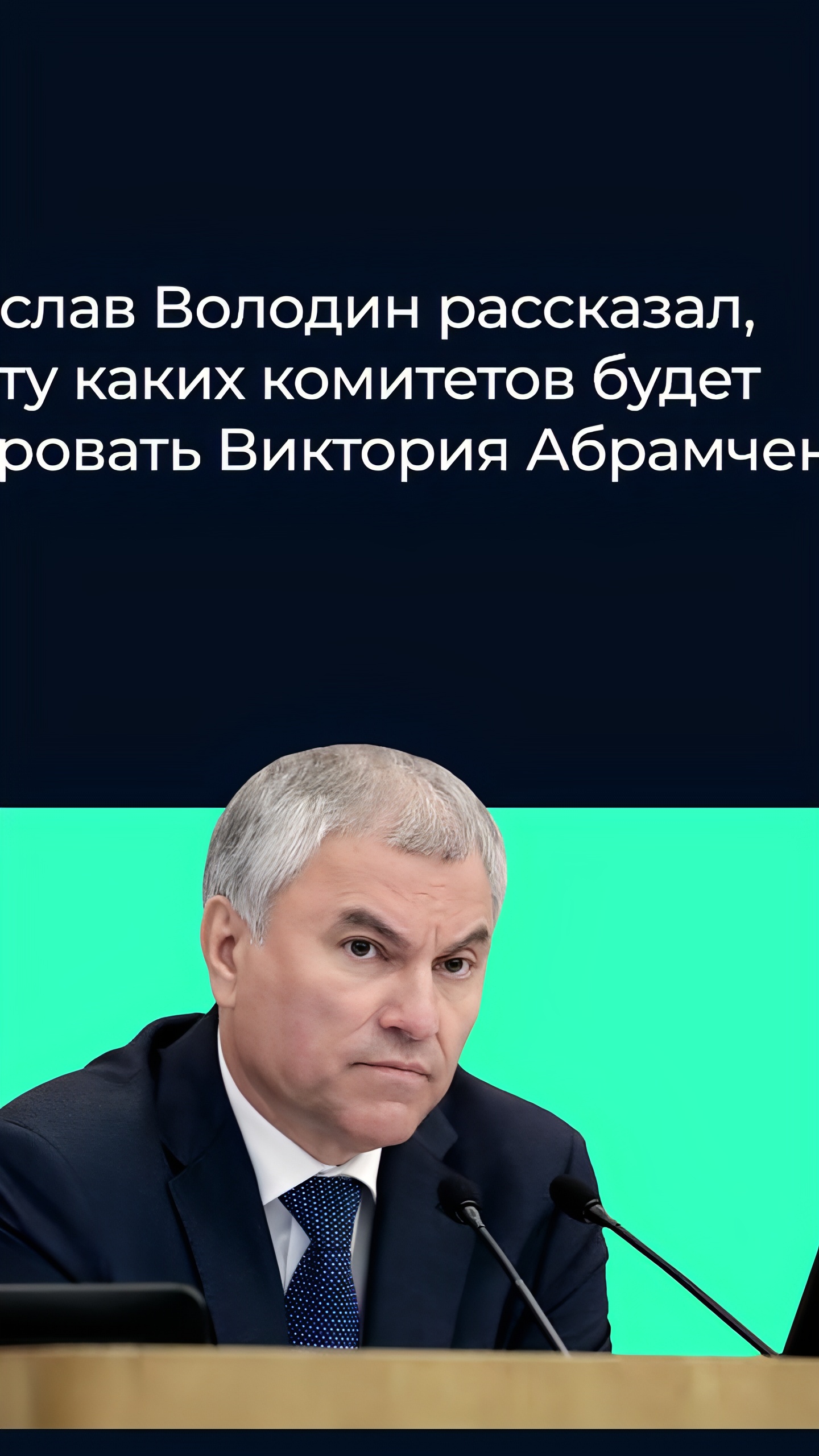 В Госдуме перераспределены комитеты: Виктория Абрамченко возглавила ключевые направления