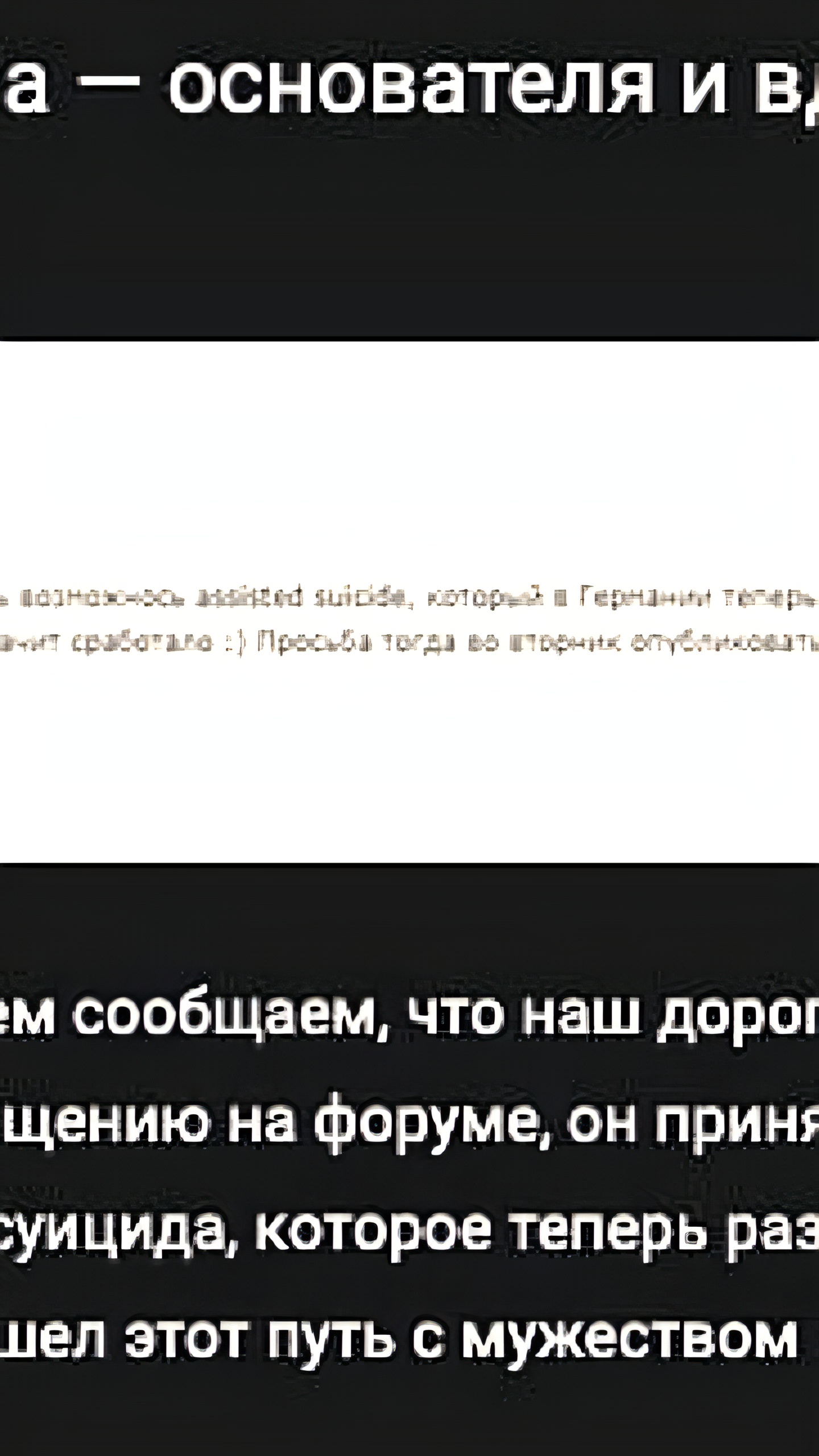 Основатель Флибусты Stiver ушёл из жизни через ассистированный суицид в Германии