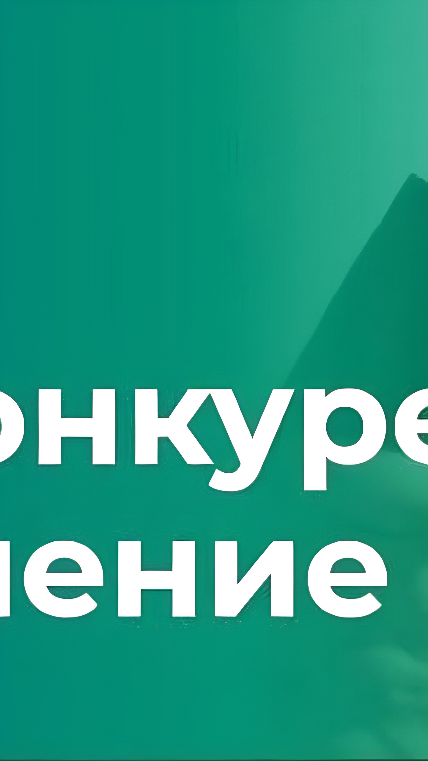 ФАС возбудила дело против дорожного картеля на 14,9 млрд рублей в Воронежской и Тамбовской областях