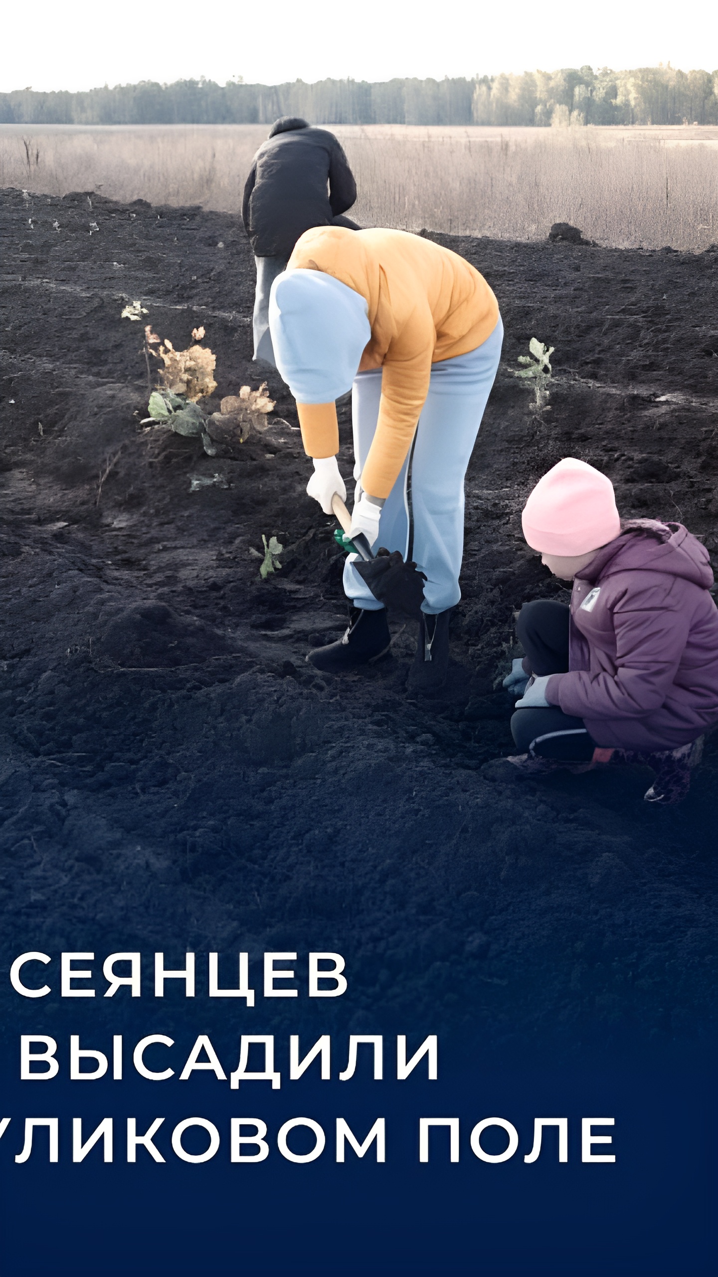 Во Владикавказе высадят дубовую аллею в память о погибших участниках СВО