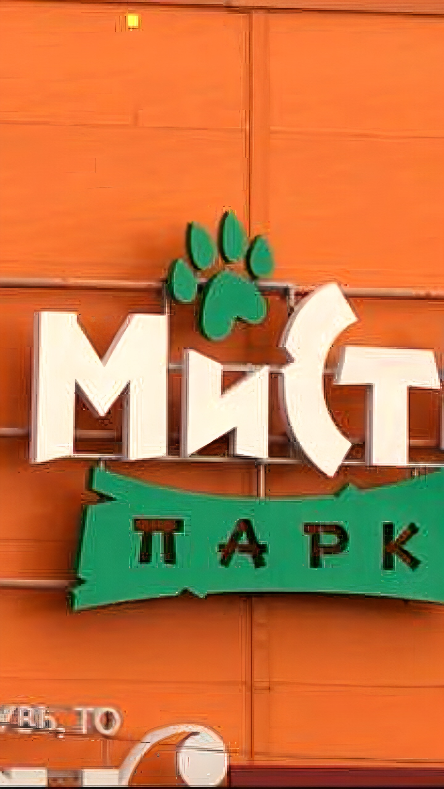 Инцидент с падением девочки в тульском 'Мисти Парке' 27 октября